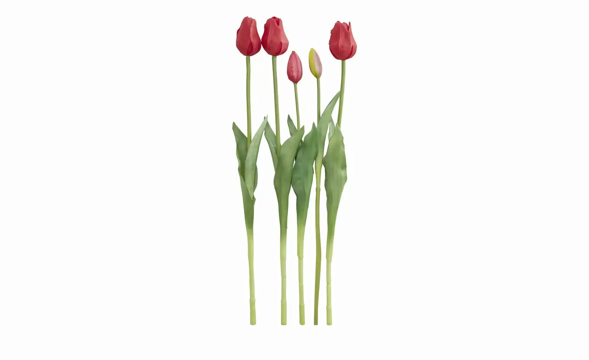 Französischer Tulpenbund   ¦ rot ¦ Polypropylen,Kunststoff ¦ Maße (cm): H: günstig online kaufen