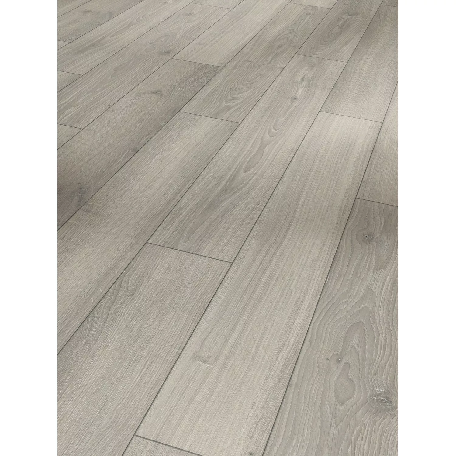 Parador Laminat Classic 1050 Eiche Studioline Lichtgrau Naturmattstruktur günstig online kaufen