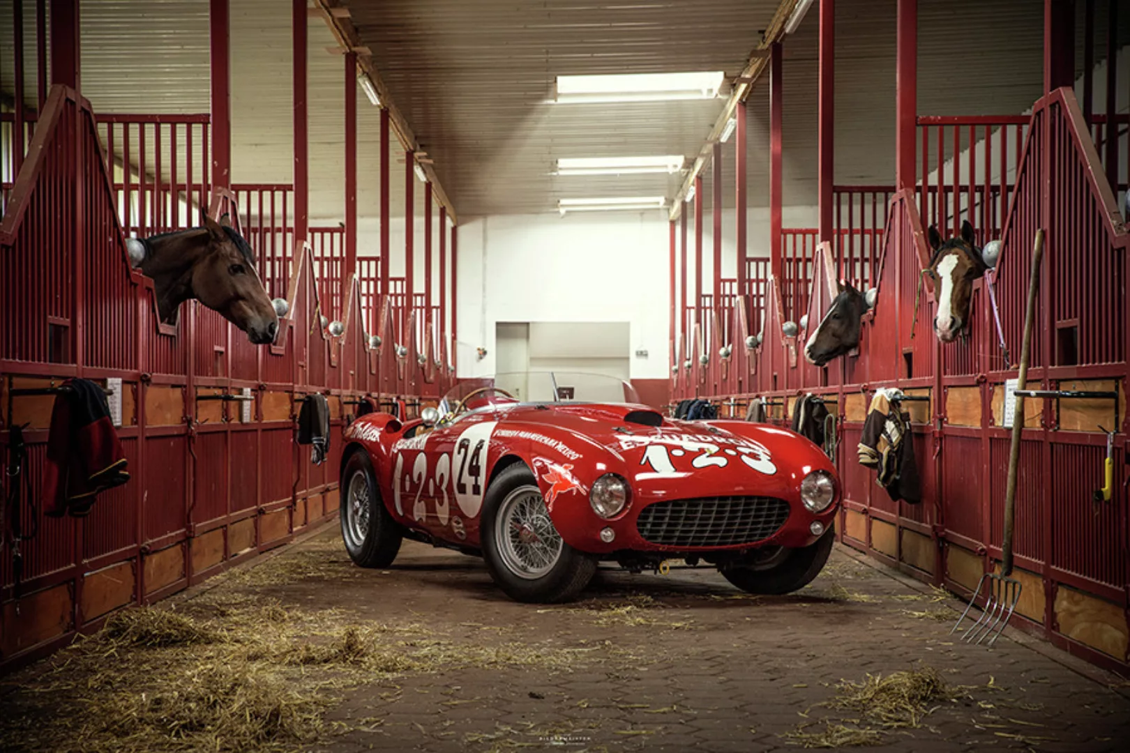 Kollektion Wiedemann Bild "HORSES 2015" günstig online kaufen