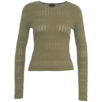Pinko  Pullover PISANINO 104735 A2FC-V42 günstig online kaufen