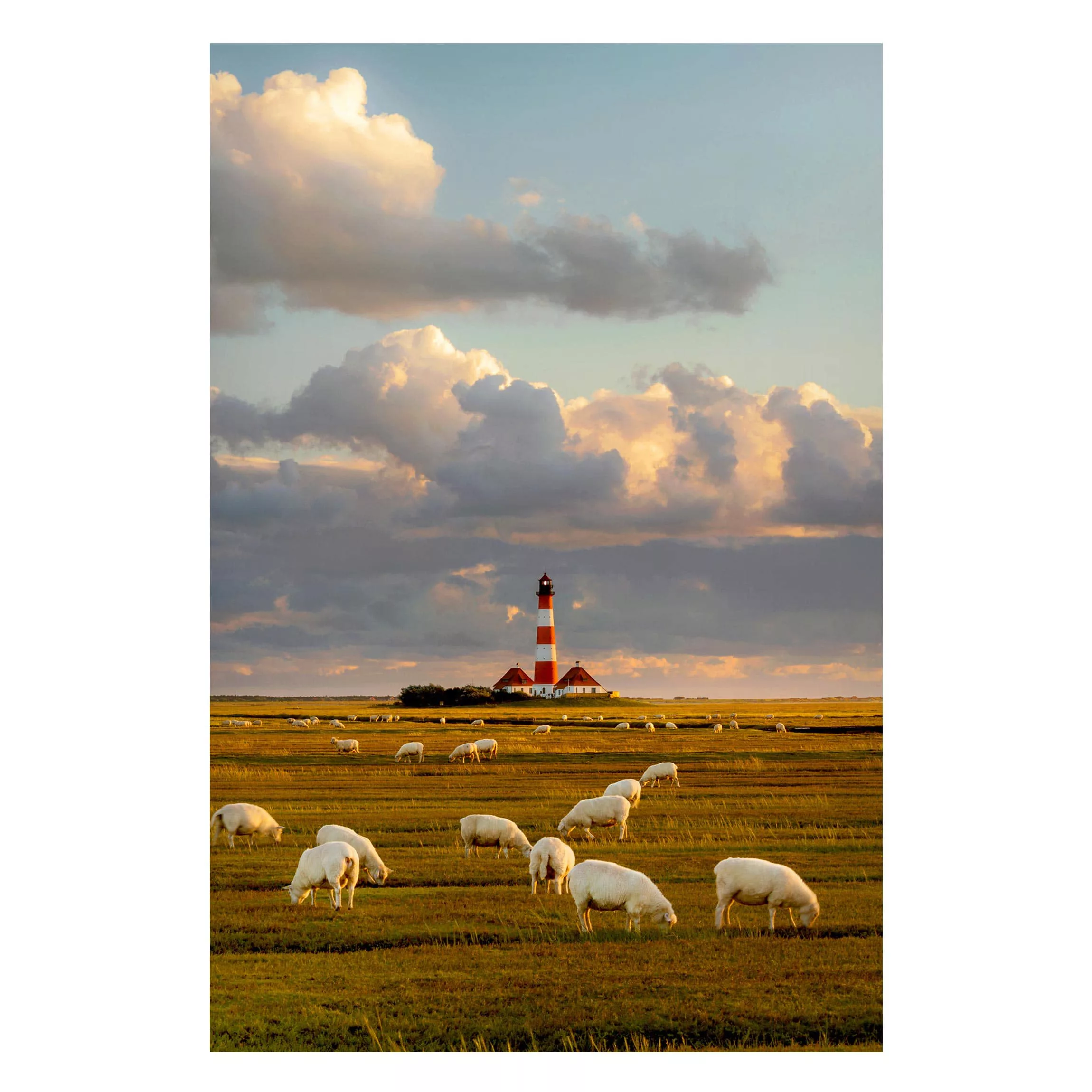 Magnettafel Natur & Landschaft - Hochformat 2:3 Nordsee Leuchtturm mit Scha günstig online kaufen