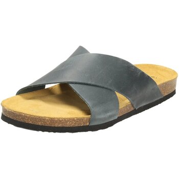 Plakton  Clogs Offene 171051 günstig online kaufen
