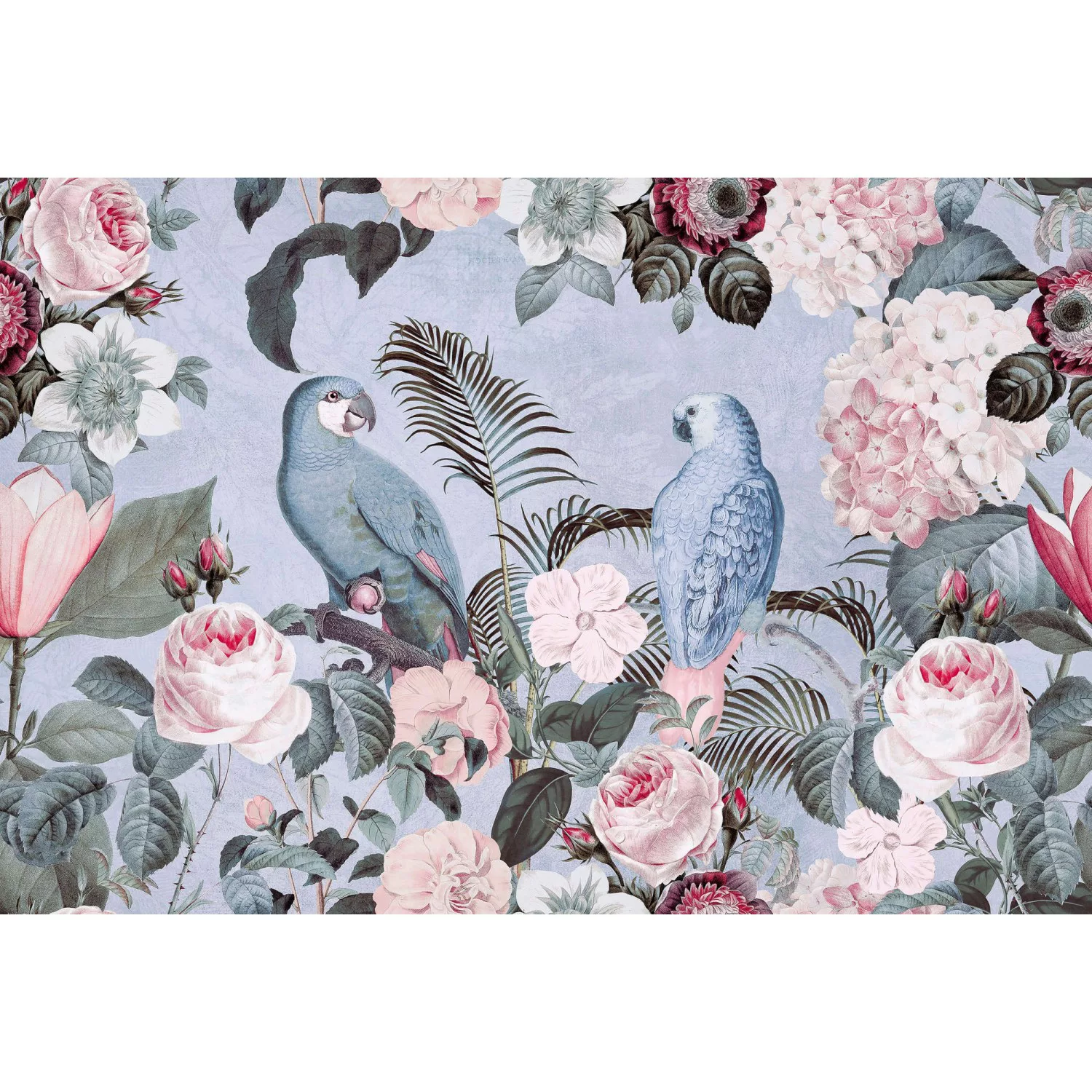 Fototapete Floral Blumen Vögel Blau Weiß Rosa Rot 4,00 m x 2,70 m FSC® günstig online kaufen