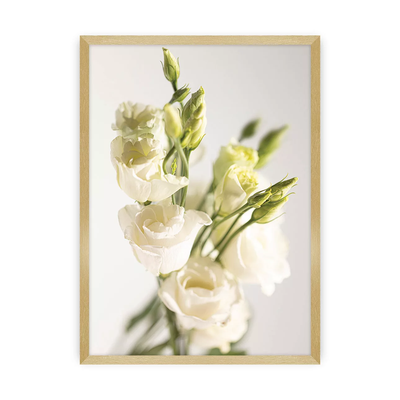 Poster Elegant Flowers, 50 x 70 cm, Rahmen wählen: gold günstig online kaufen