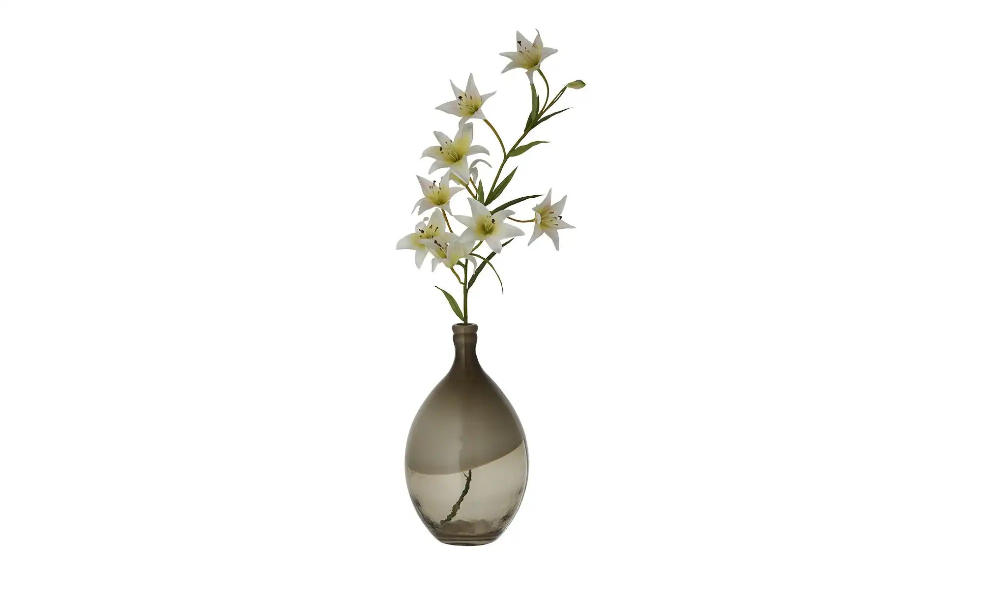 HOME STORY Vase ¦ braun ¦ Glas  ¦ Maße (cm): H: 33  Ø: 19 Accessoires > Vas günstig online kaufen