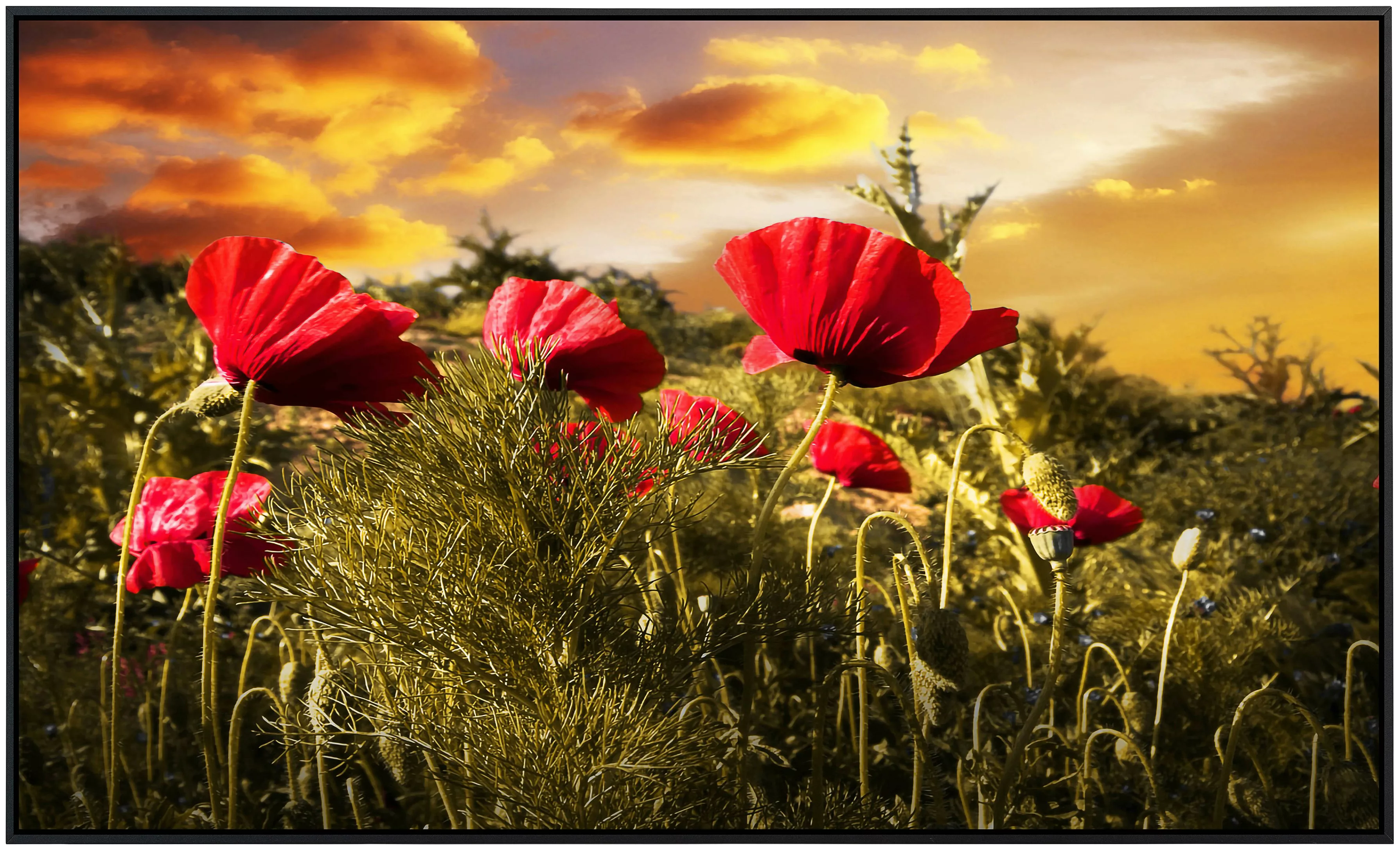 Papermoon Infrarotheizung »Blumenwiese«, sehr angenehme Strahlungswärme günstig online kaufen