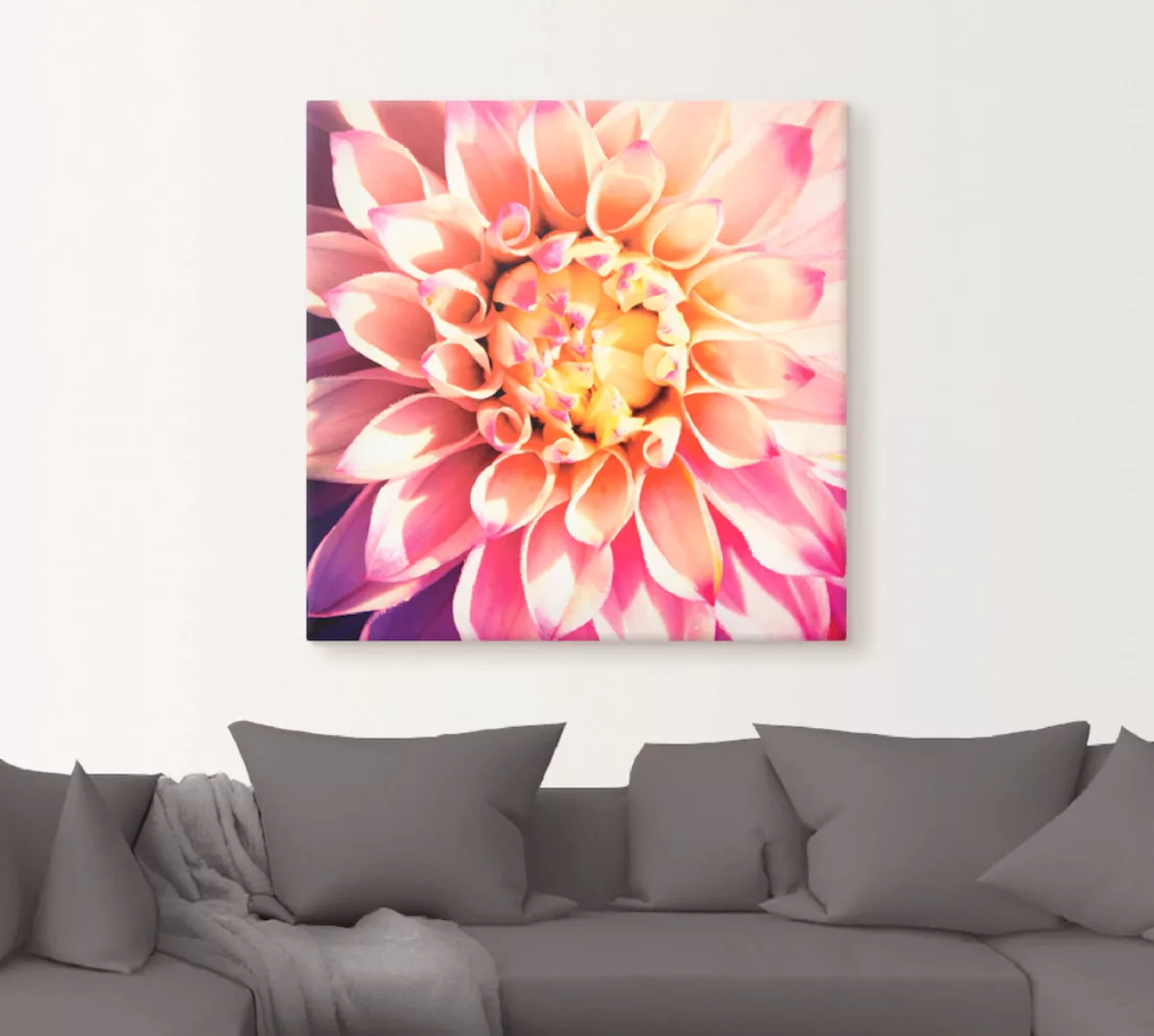 Artland Wandbild "Dahlie", Blumen, (1 St.), als Leinwandbild, Poster in ver günstig online kaufen