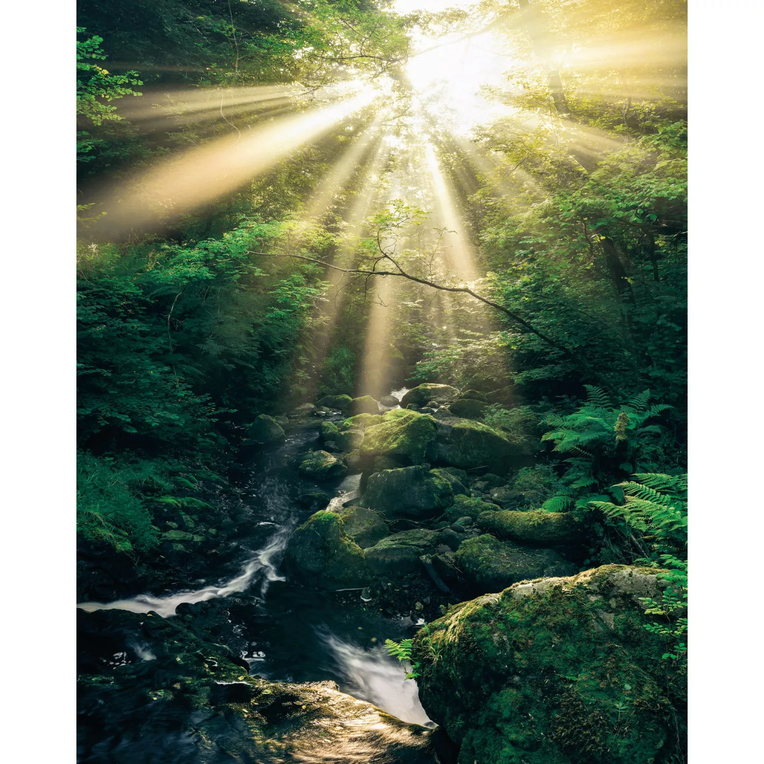 Komar Vliestapete »Digitaldruck Vlies - Divine - Größe 200 x 250 cm«, bedru günstig online kaufen