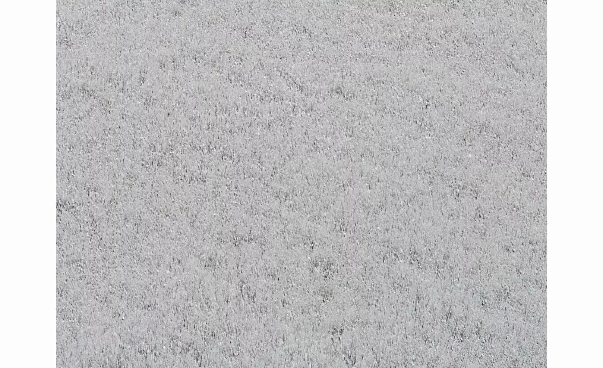 Musterring Teppich   ¦ grau ¦ Synthetische Fasern ¦ Maße (cm): B: 80 H: 3,8 günstig online kaufen