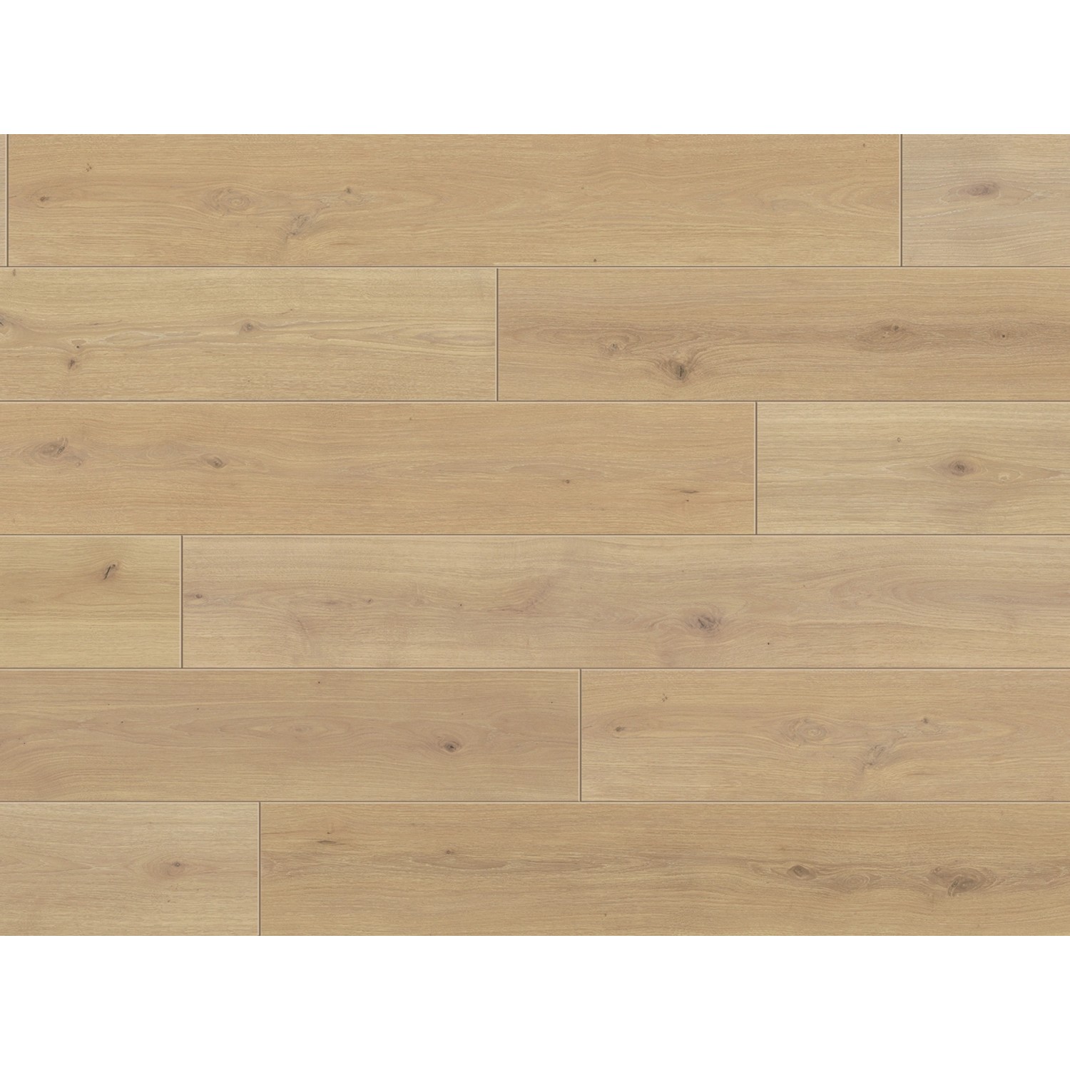 Parador Laminatboden Classic 1050 4V Eiche Natural Mix Hell Naturmattstrukt günstig online kaufen