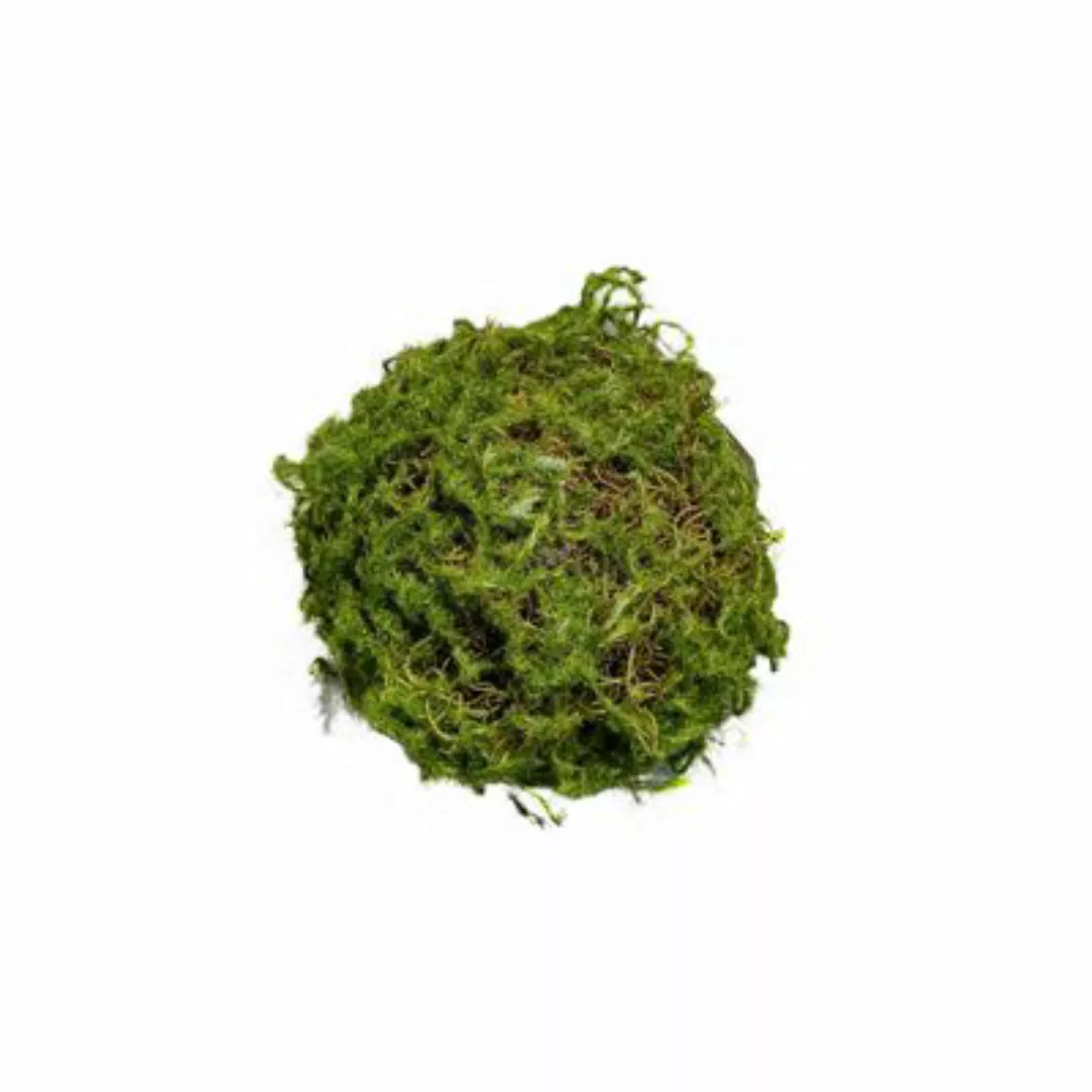 HTI-Living Mooskugel 18 cm Kunstpflanze Flora grün günstig online kaufen