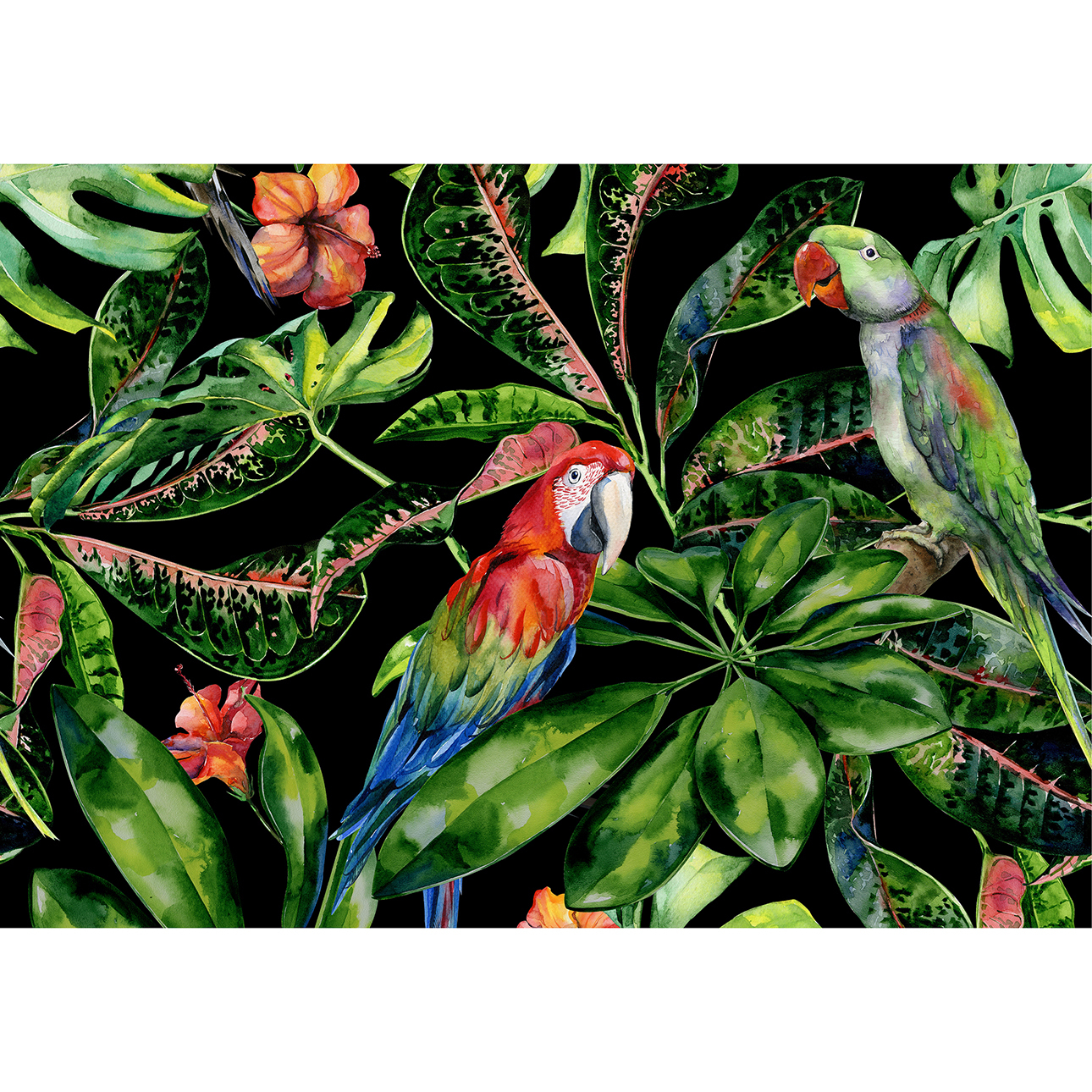Leinwandbild Tropical Birds, 50 x 35 cm günstig online kaufen