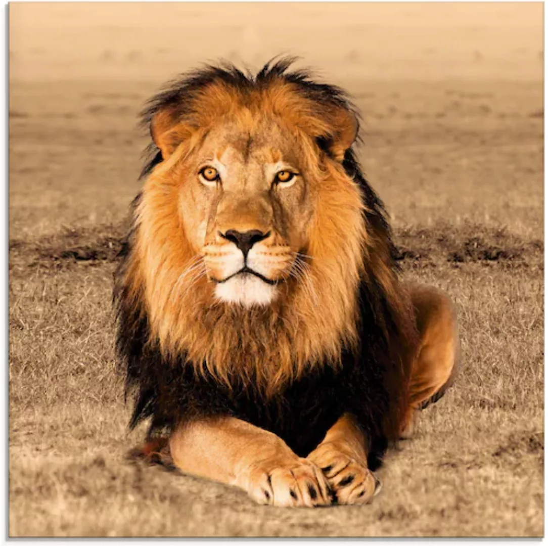 Artland Glasbild »Löwe«, Wildtiere, (1 St.) günstig online kaufen