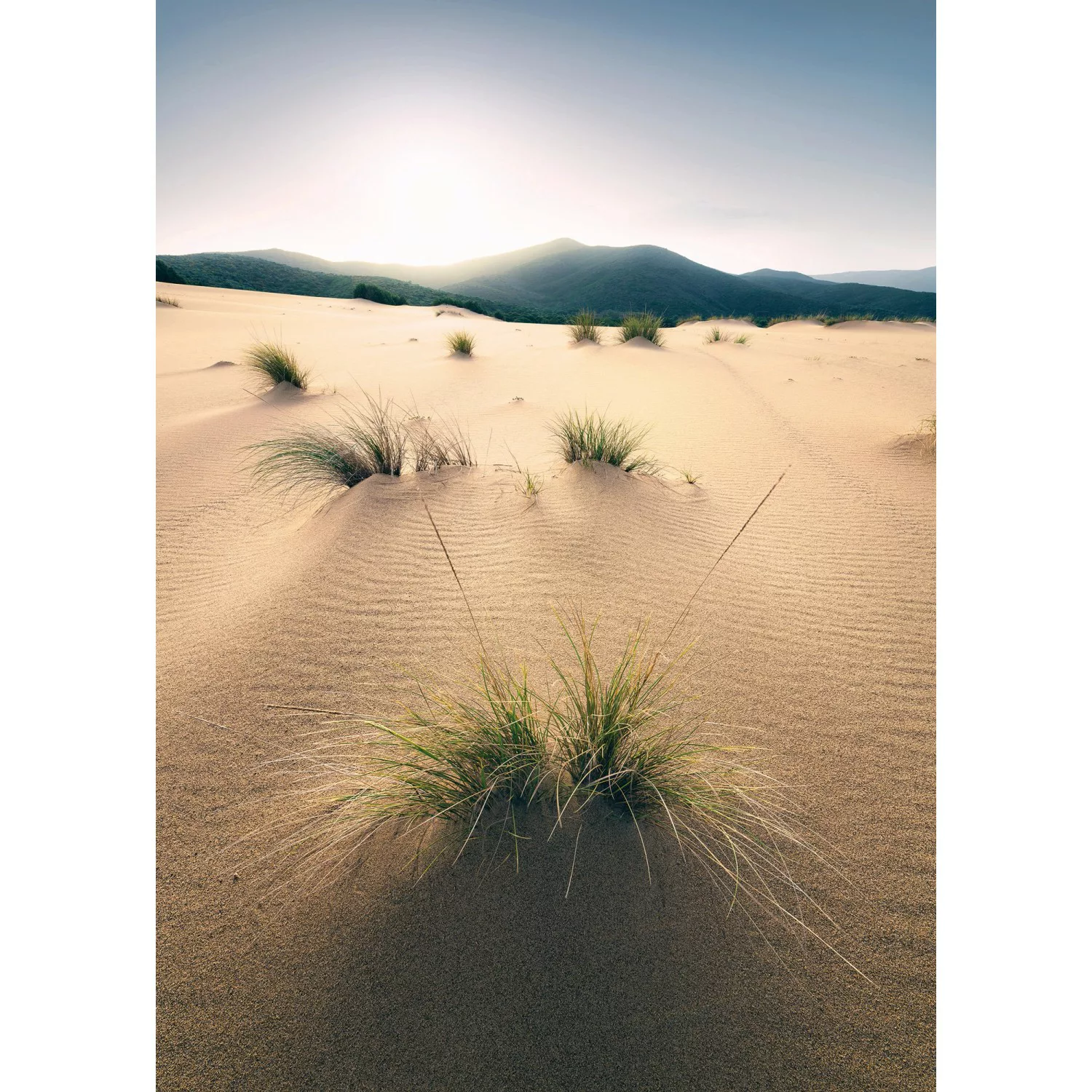 Vlies Fototapete Vivid Dunes 200x280 cm günstig online kaufen