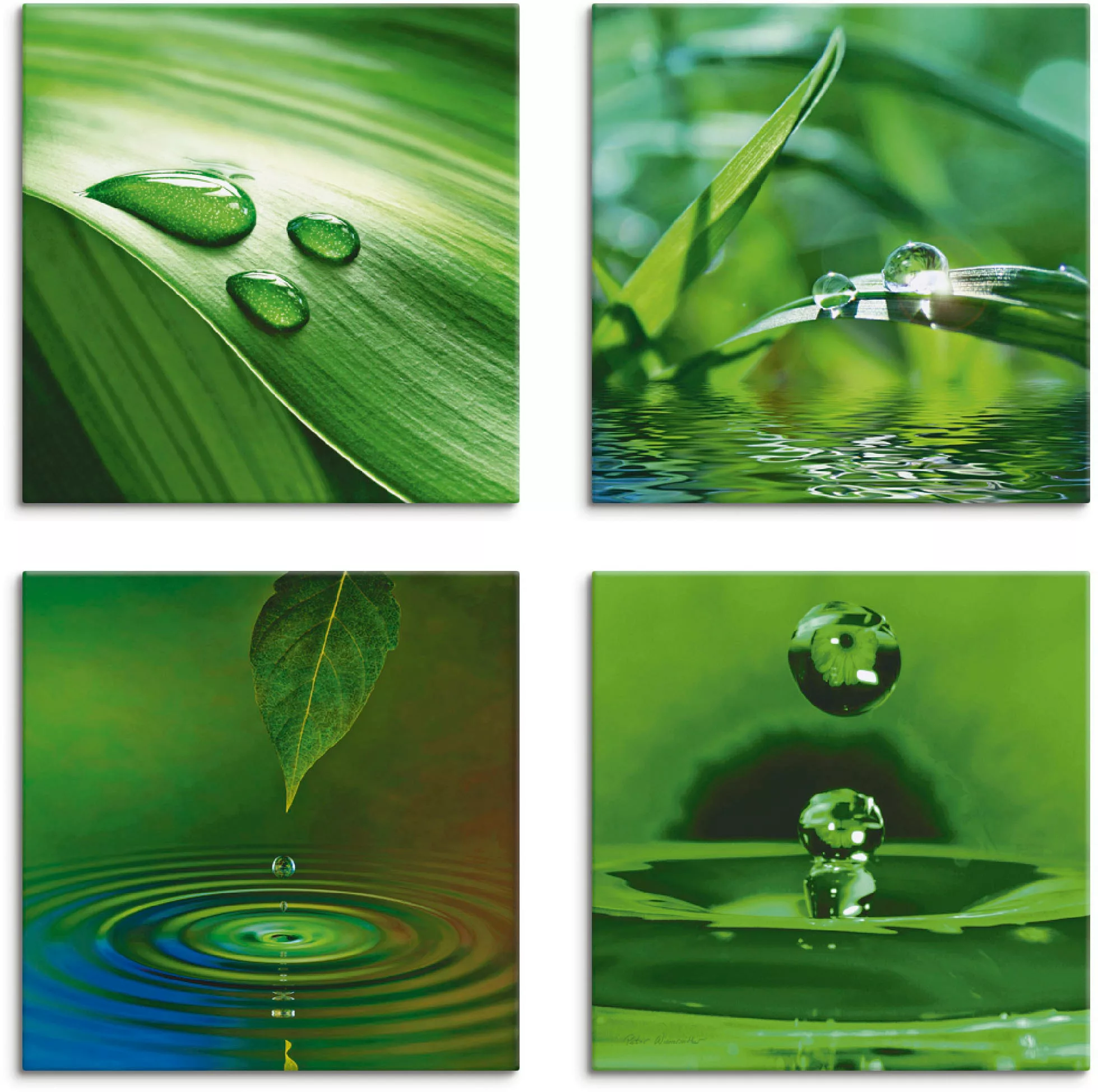 Artland Leinwandbild "Blatt Gras Wassertropfen", Zen, (4 St.), 4er Set, ver günstig online kaufen