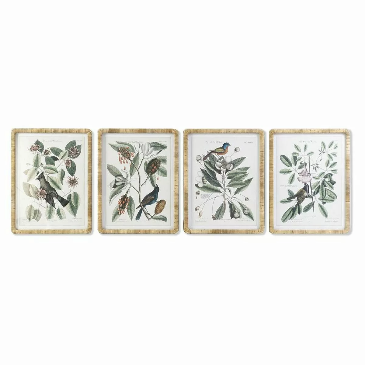 Bild Dkd Home Decor Botanische Pflanzen (50 X 2,5 X 65 Cm) (4 Stück) günstig online kaufen