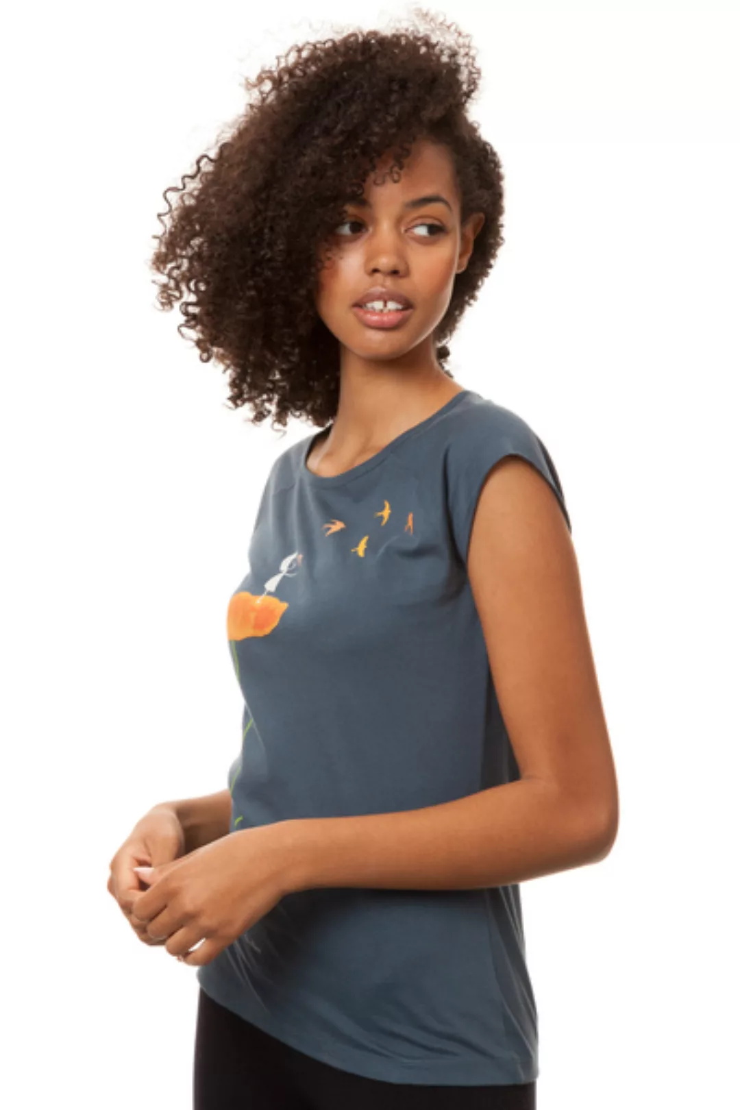 Damen T-shirt Schwalbenzug Bio Fair günstig online kaufen