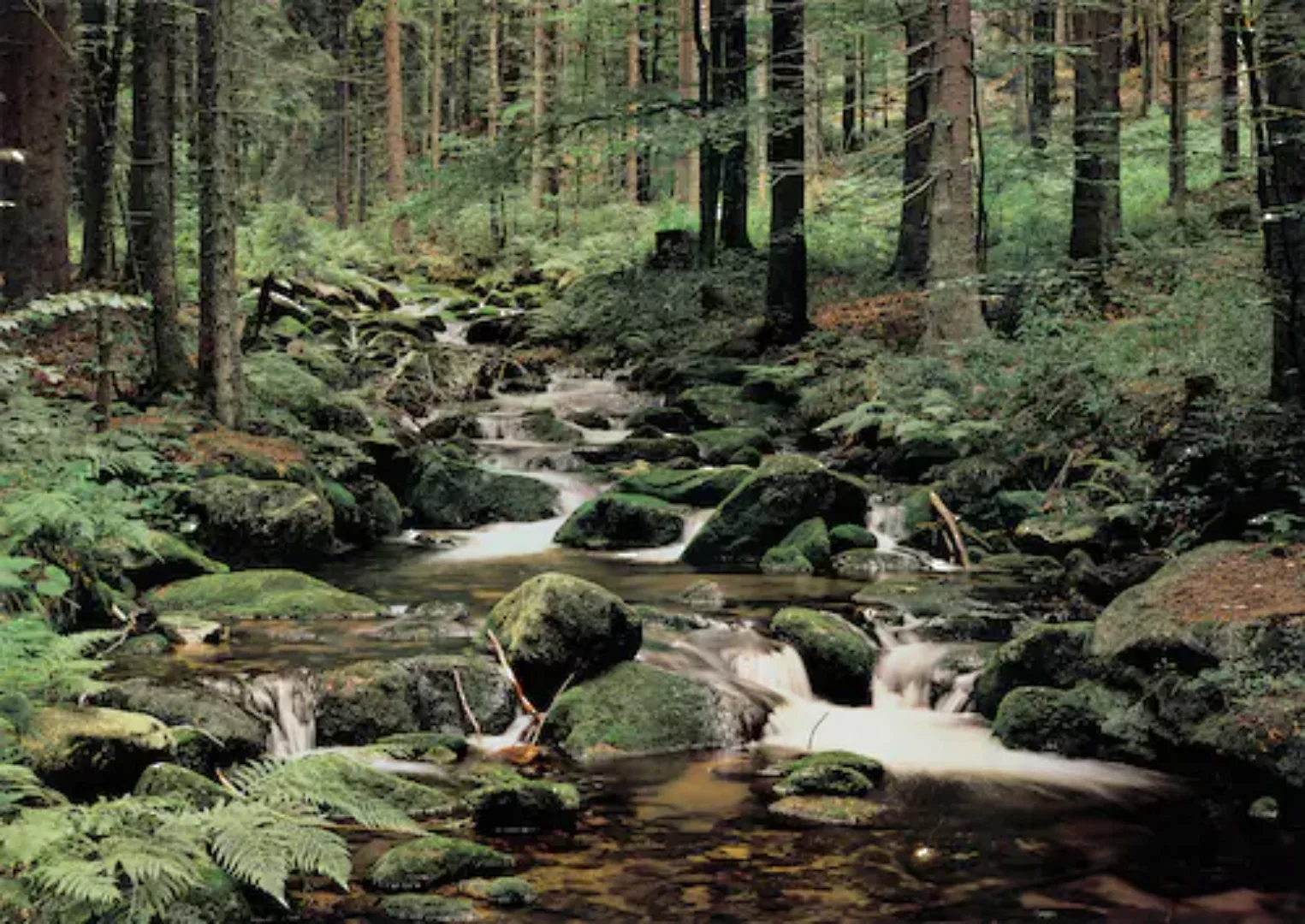 Papermoon Fototapete »Nature« günstig online kaufen