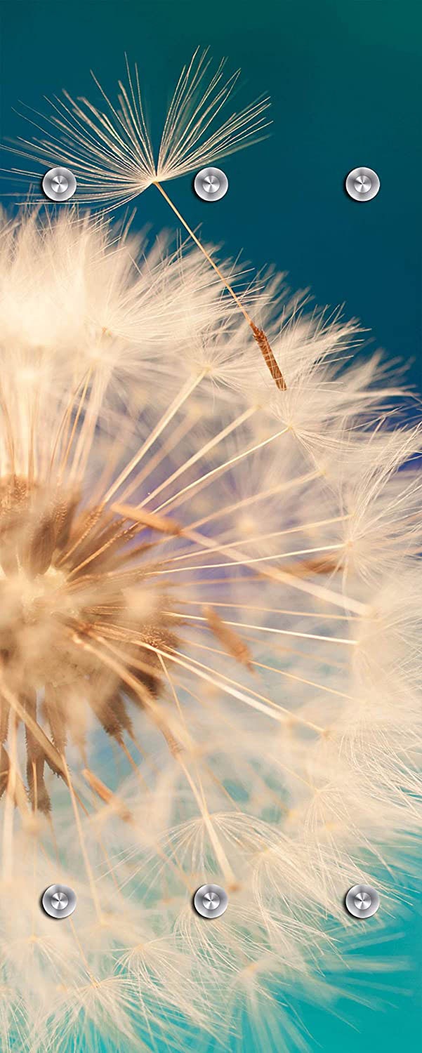 queence Garderobenleiste "Pusteblume in groß", mit 6 Haken, 50 x 120 cm günstig online kaufen