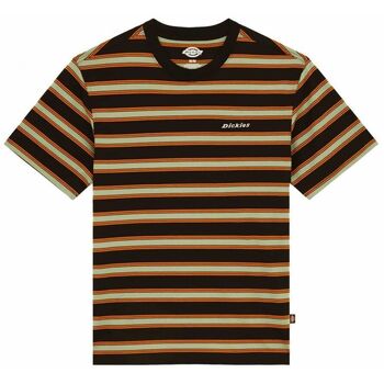 Dickies  T-Shirt YORK STRIPE DK0A87QVBLK1-BLACK günstig online kaufen