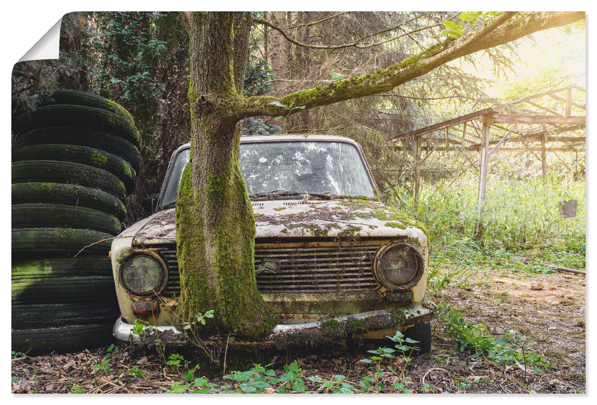 Artland Wandbild "Lost Places - Rostlaube Lada- verlassen", Auto, (1 St.), günstig online kaufen