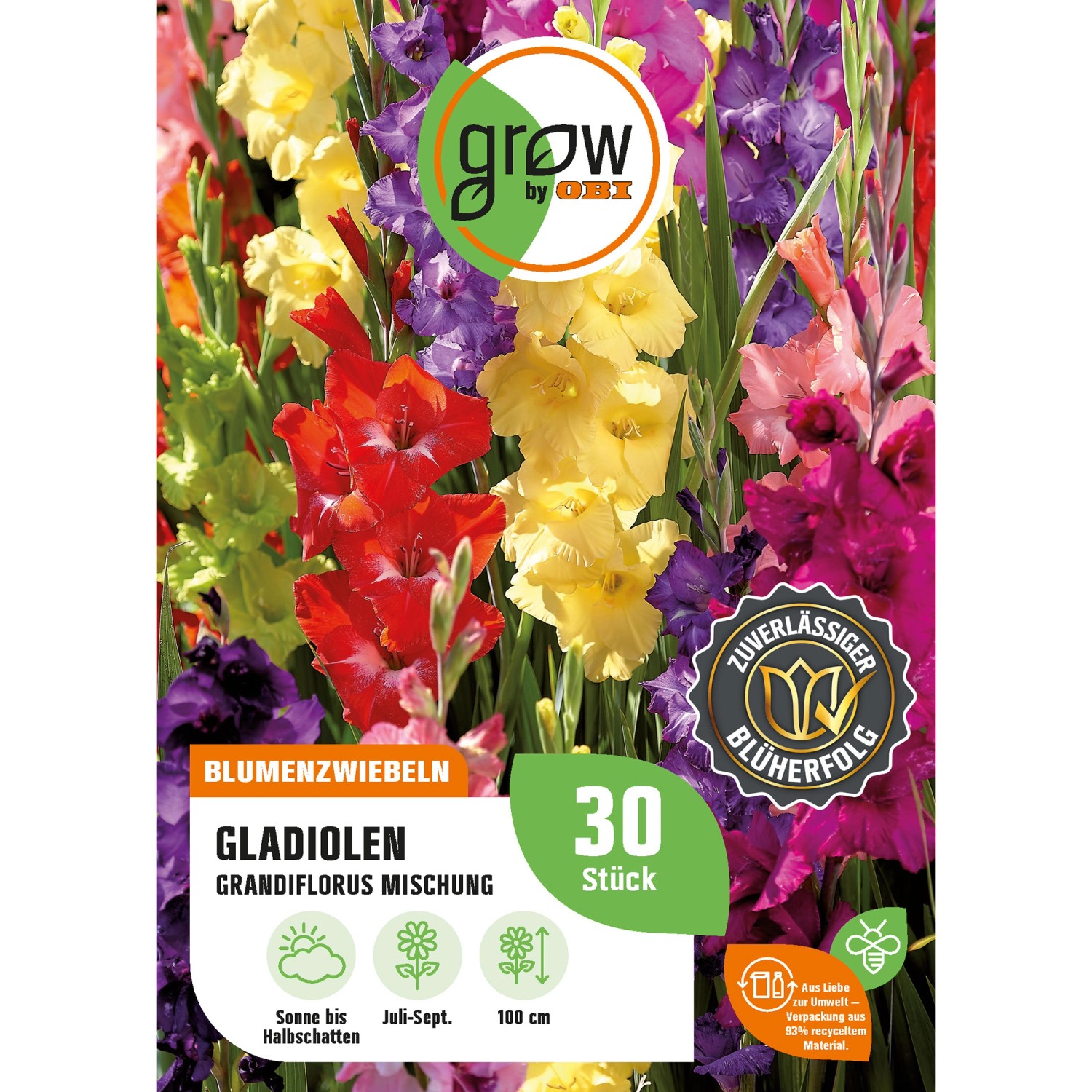 GROW by OBI Gladiolen Grandiflorus Mischung Höhe 100 cm Gladiolus grandiflo günstig online kaufen