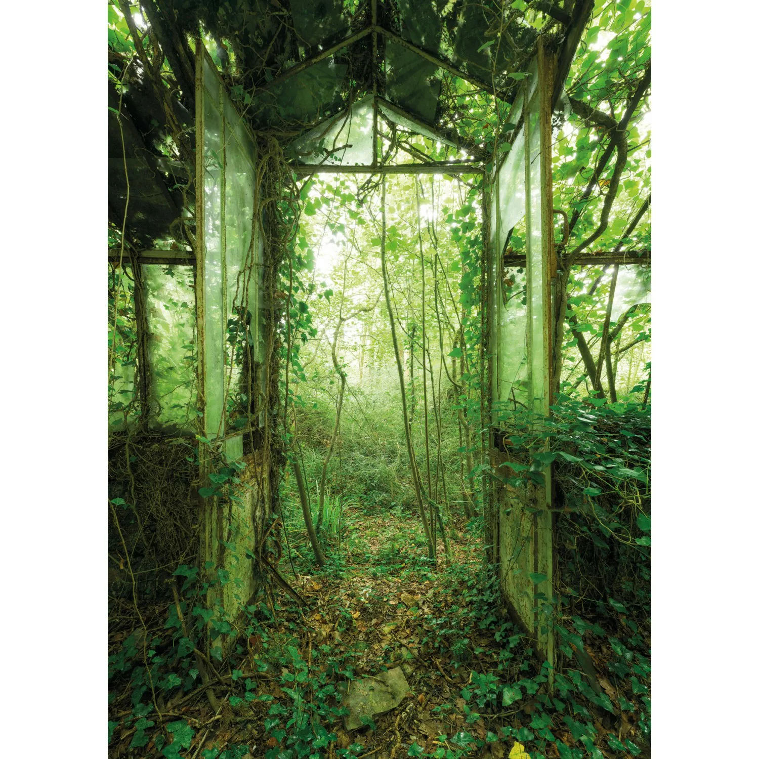 KOMAR Vlies Fototapete - Greenhouse - Größe 200 x 280 cm mehrfarbig günstig online kaufen