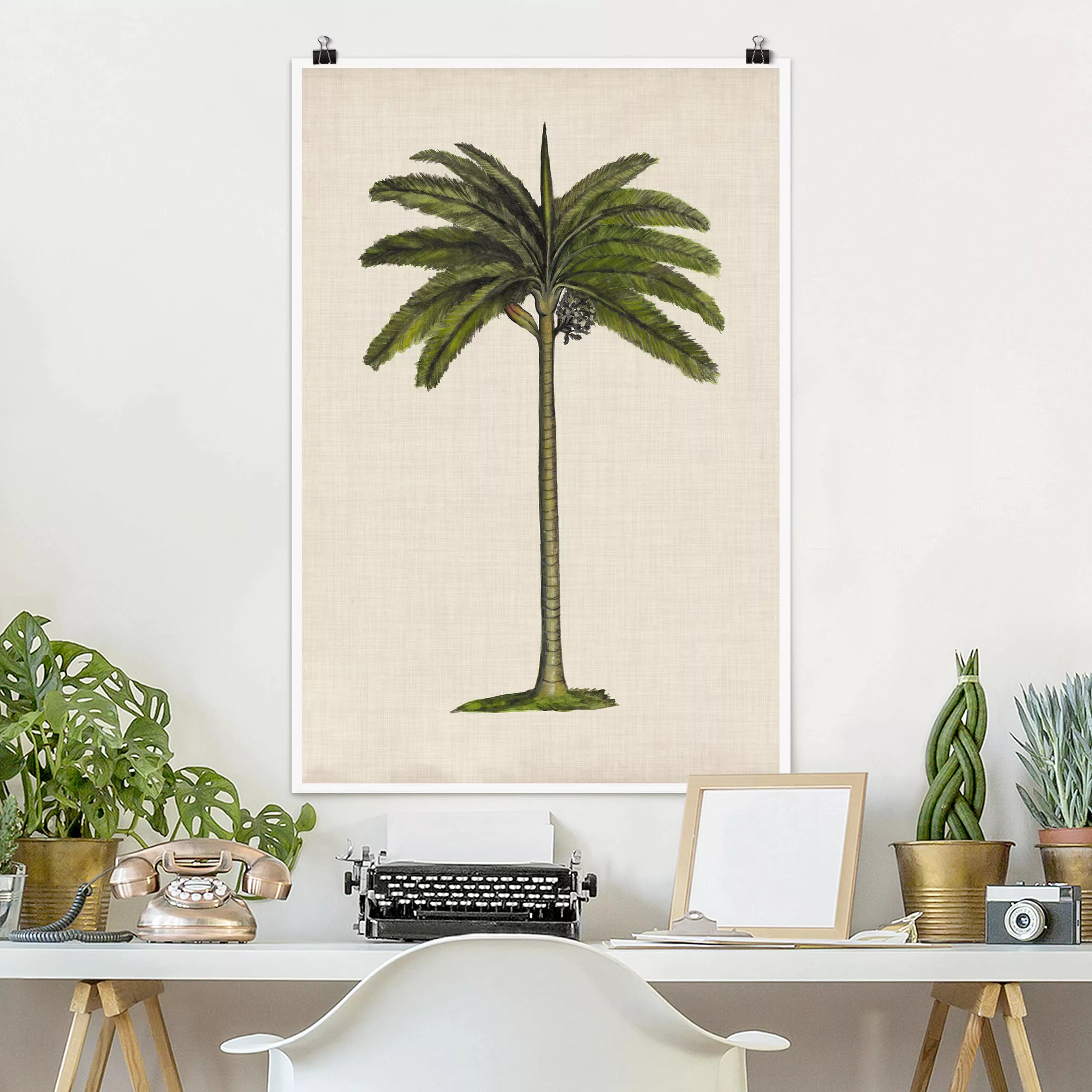 Poster Blumen - Hochformat Britische Palmen IV günstig online kaufen