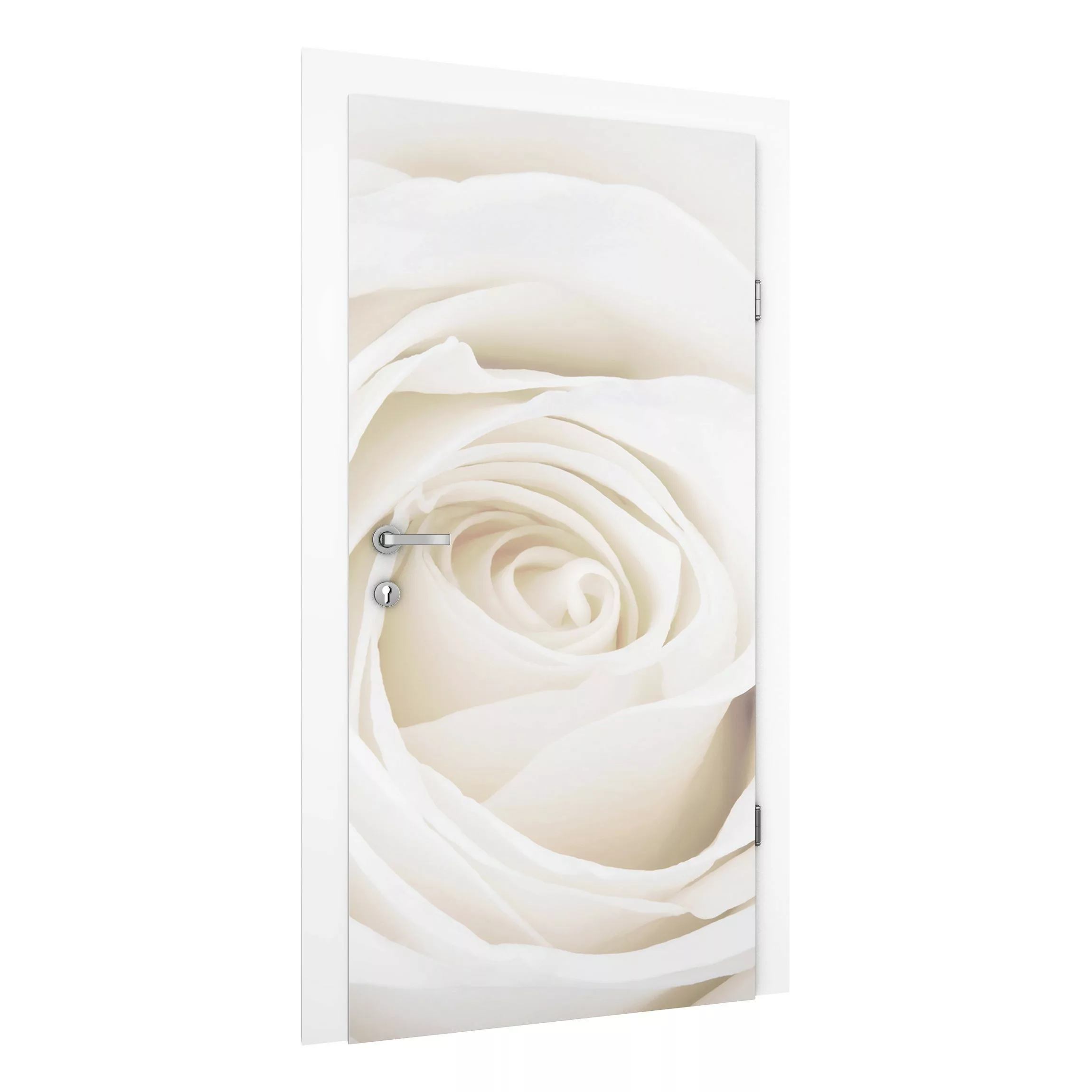 Türtapete Pretty White Rose günstig online kaufen