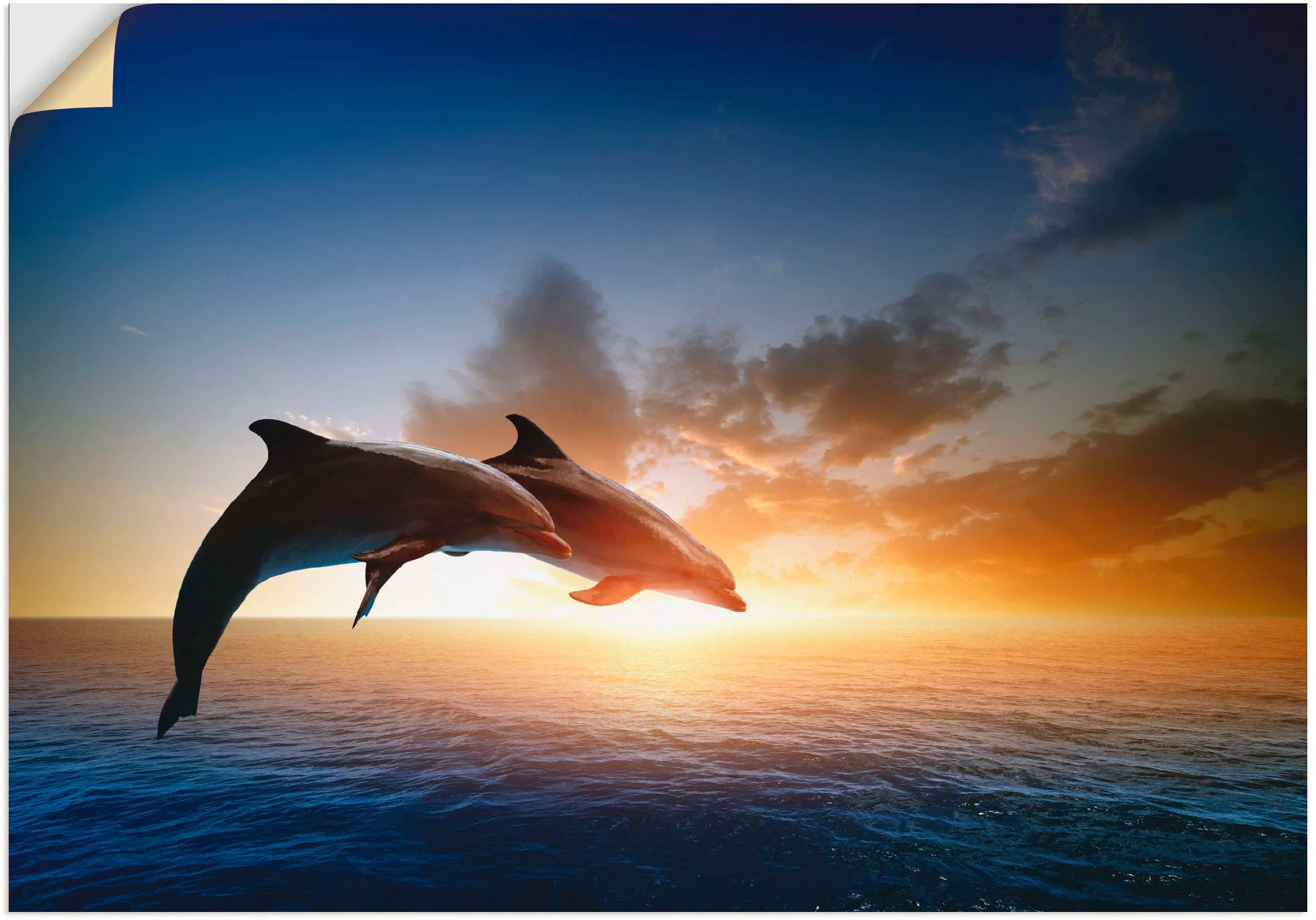 Artland Wandbild "Delfinpaar", Wassertiere, (1 St.), als Leinwandbild, Post günstig online kaufen