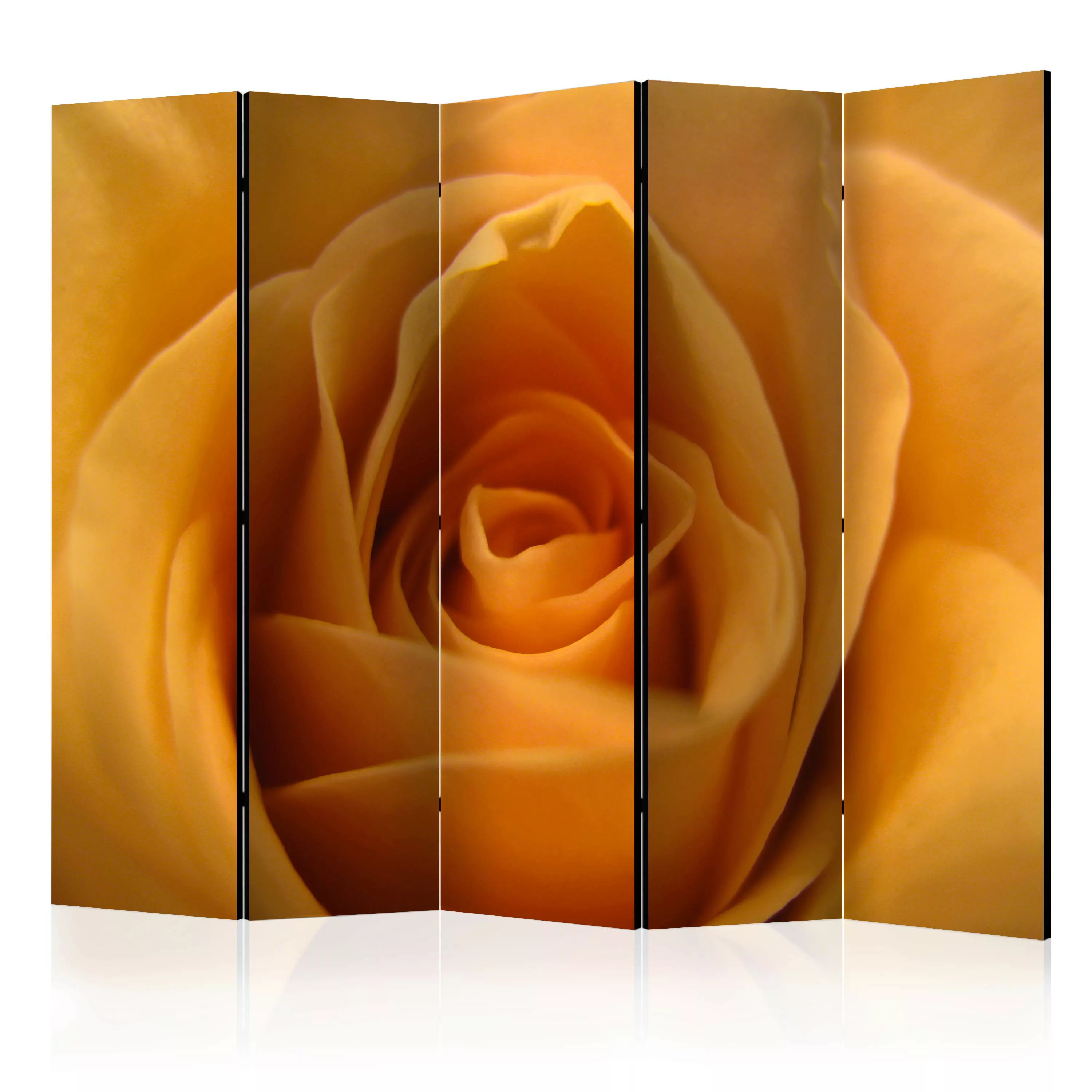 5-teiliges Paravent - Yellow Rose – A Symbol Of Friendship Ii [room Divider günstig online kaufen