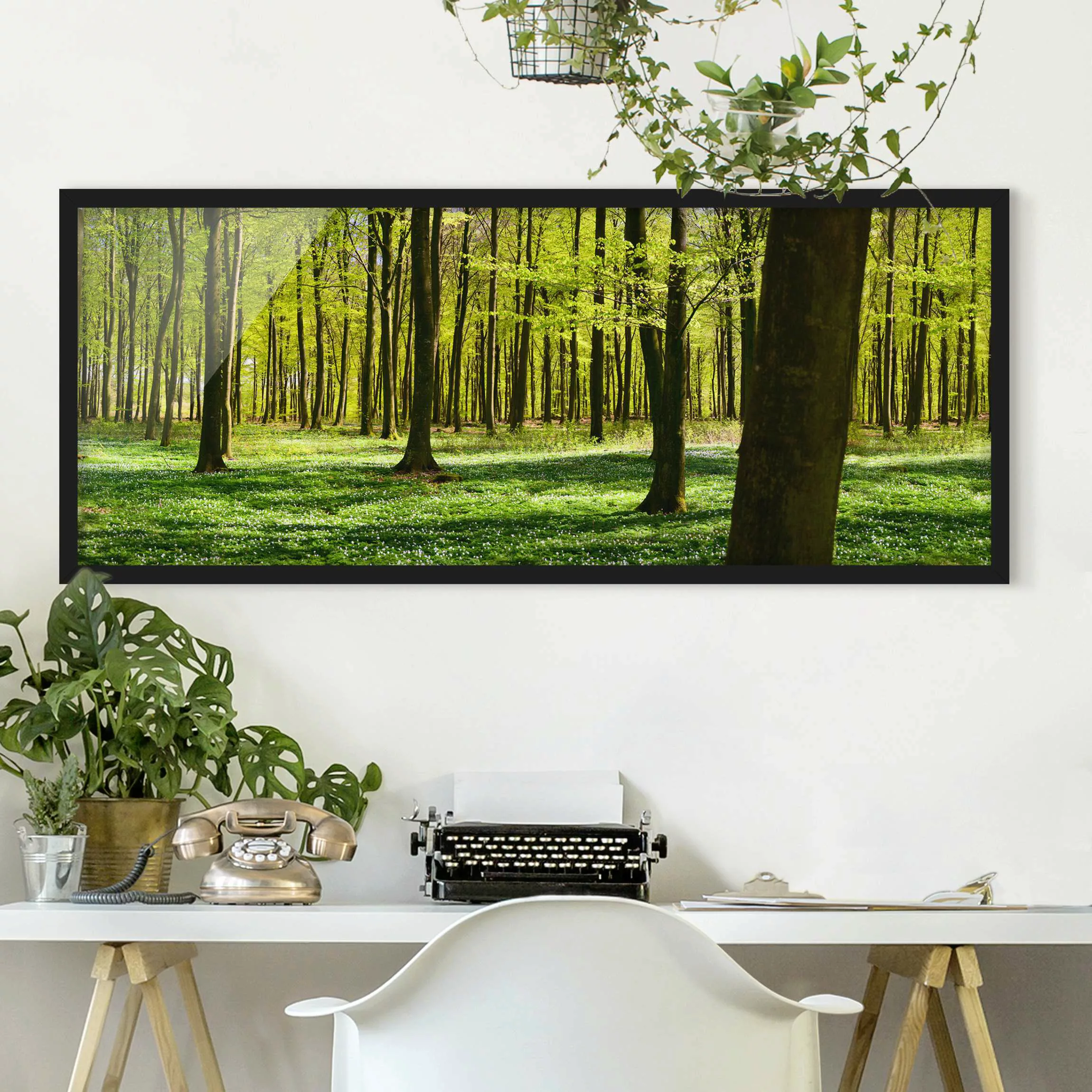 Bild mit Rahmen Natur & Landschaft - Panorama Waldwiese günstig online kaufen