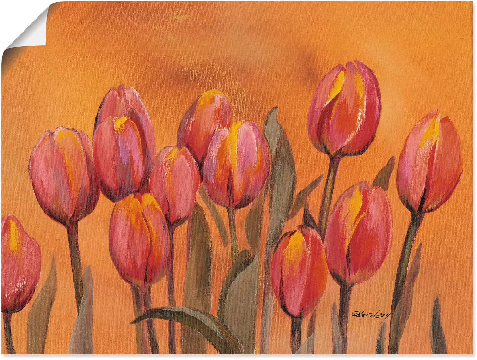 Artland Poster "Tulpen", Blumen, (1 St.), als Alubild, Leinwandbild, Wandau günstig online kaufen