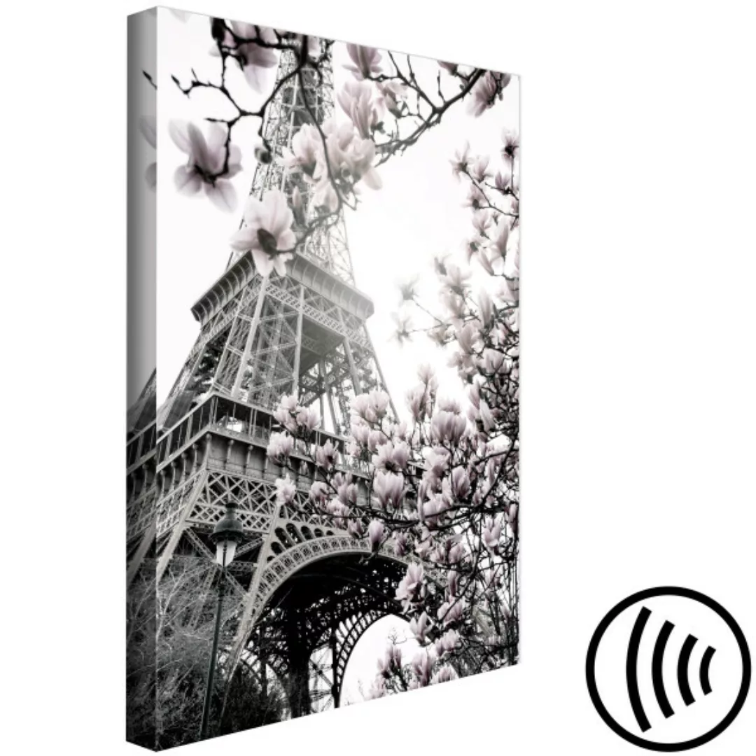Wandbild Paris Magnolias (1 Part) Vertical XXL günstig online kaufen