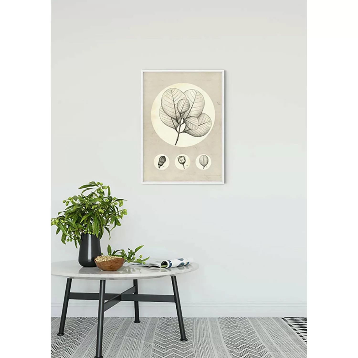 Komar Poster "Transparent Leaf", Pflanzen-Blätter, (1 St.), Kinderzimmer, S günstig online kaufen