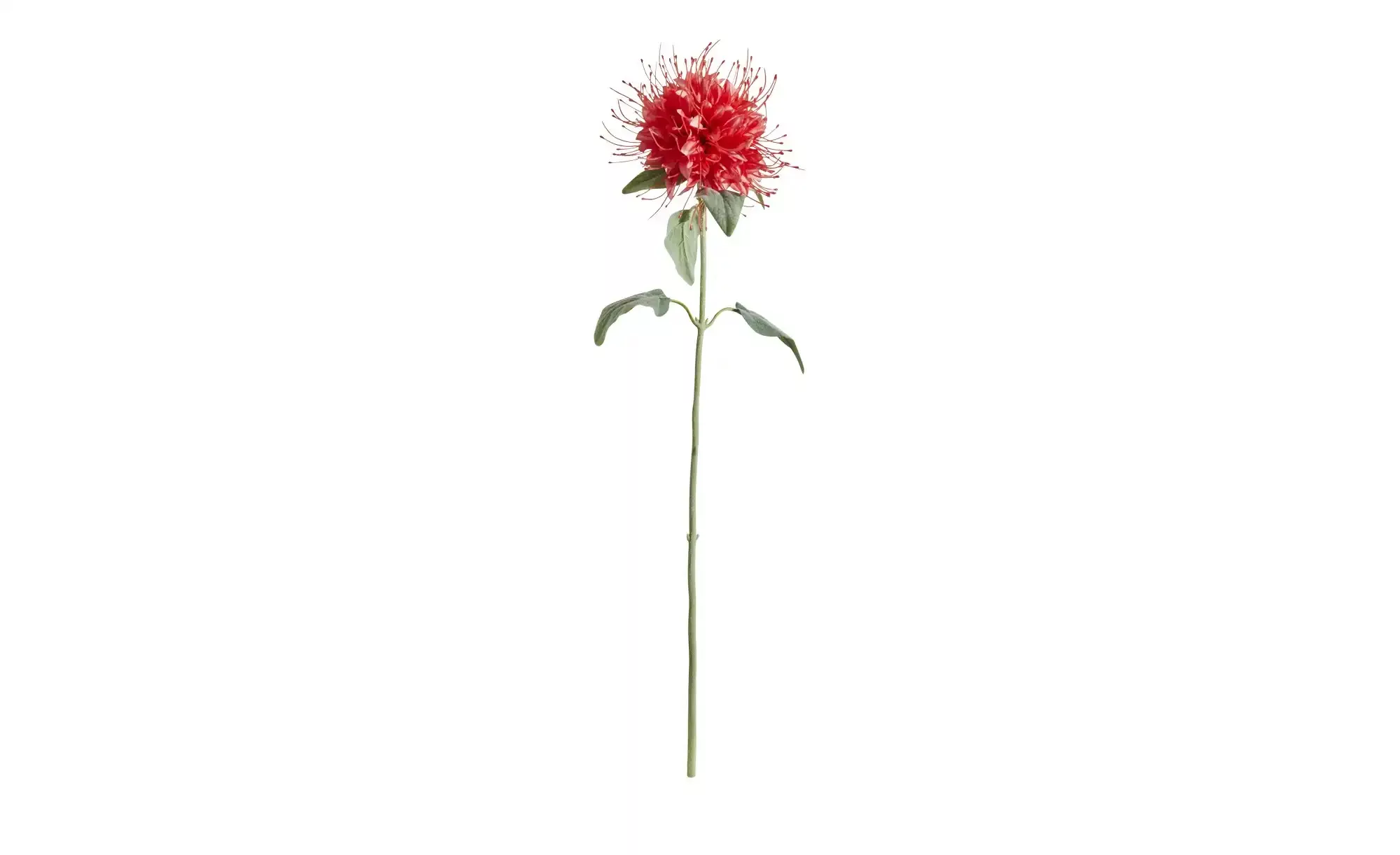 Kunstblume Monarda ¦ rot ¦ Kunststoff Accessoires > Kunstblumen - Höffner günstig online kaufen