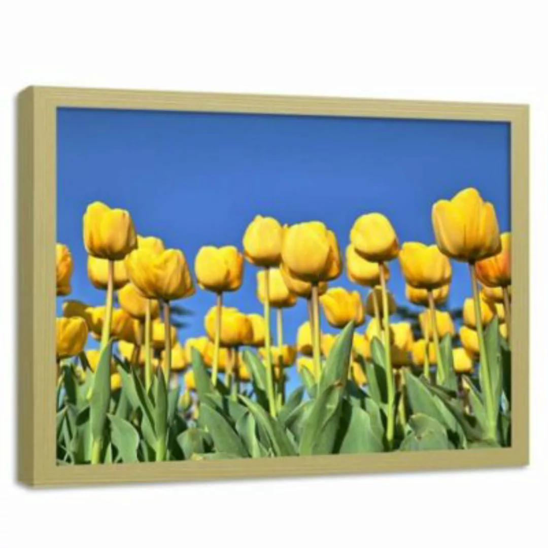 FEEBY® Kunst Gelbe Blumen Leinwandbilder bunt Gr. 90 x 60 günstig online kaufen