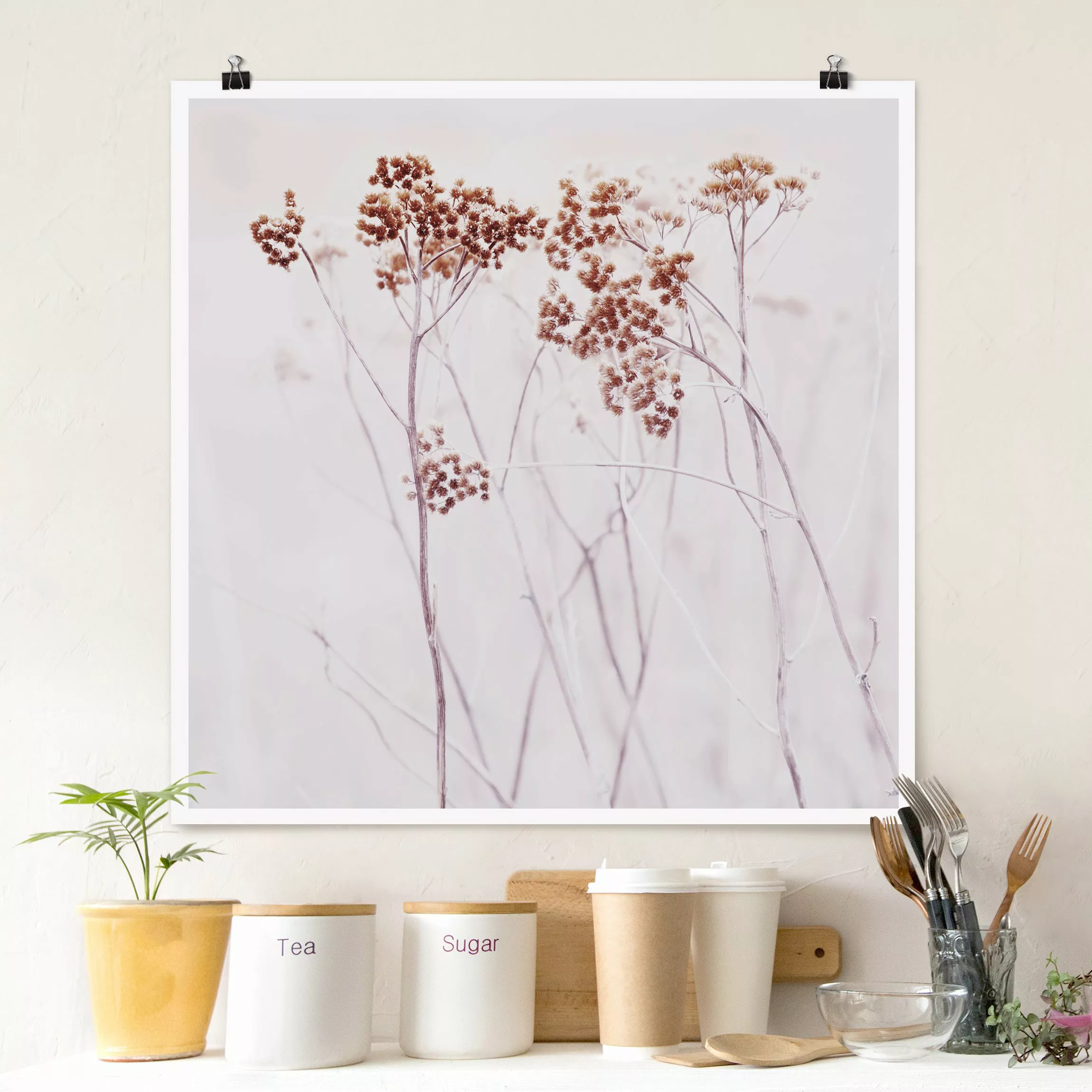 Poster Isländische Wildblumen günstig online kaufen