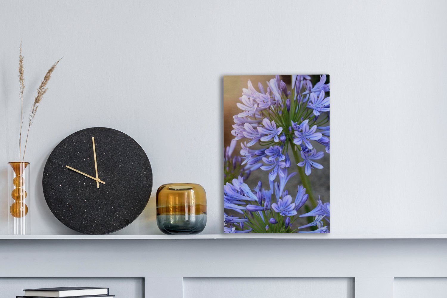 OneMillionCanvasses® Leinwandbild Nahaufnahme von Agapanthus-Blüten, Fotodr günstig online kaufen
