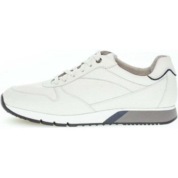 Pius Gabor  Sneaker 1019.10.03 günstig online kaufen