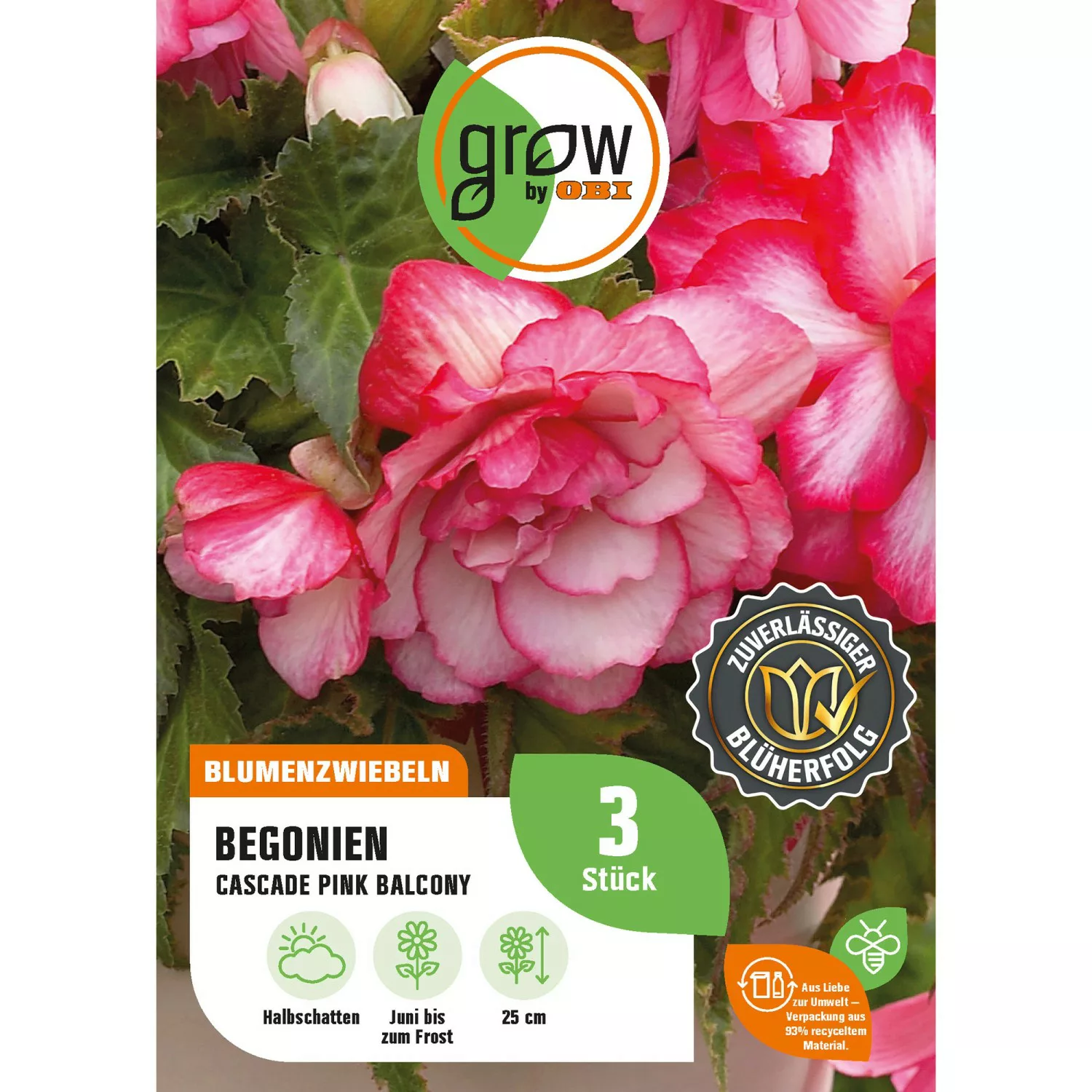 GROW by OBI Begonie Cascade Pink Balcony Höhe ca. 25 cm Begonia cascade günstig online kaufen