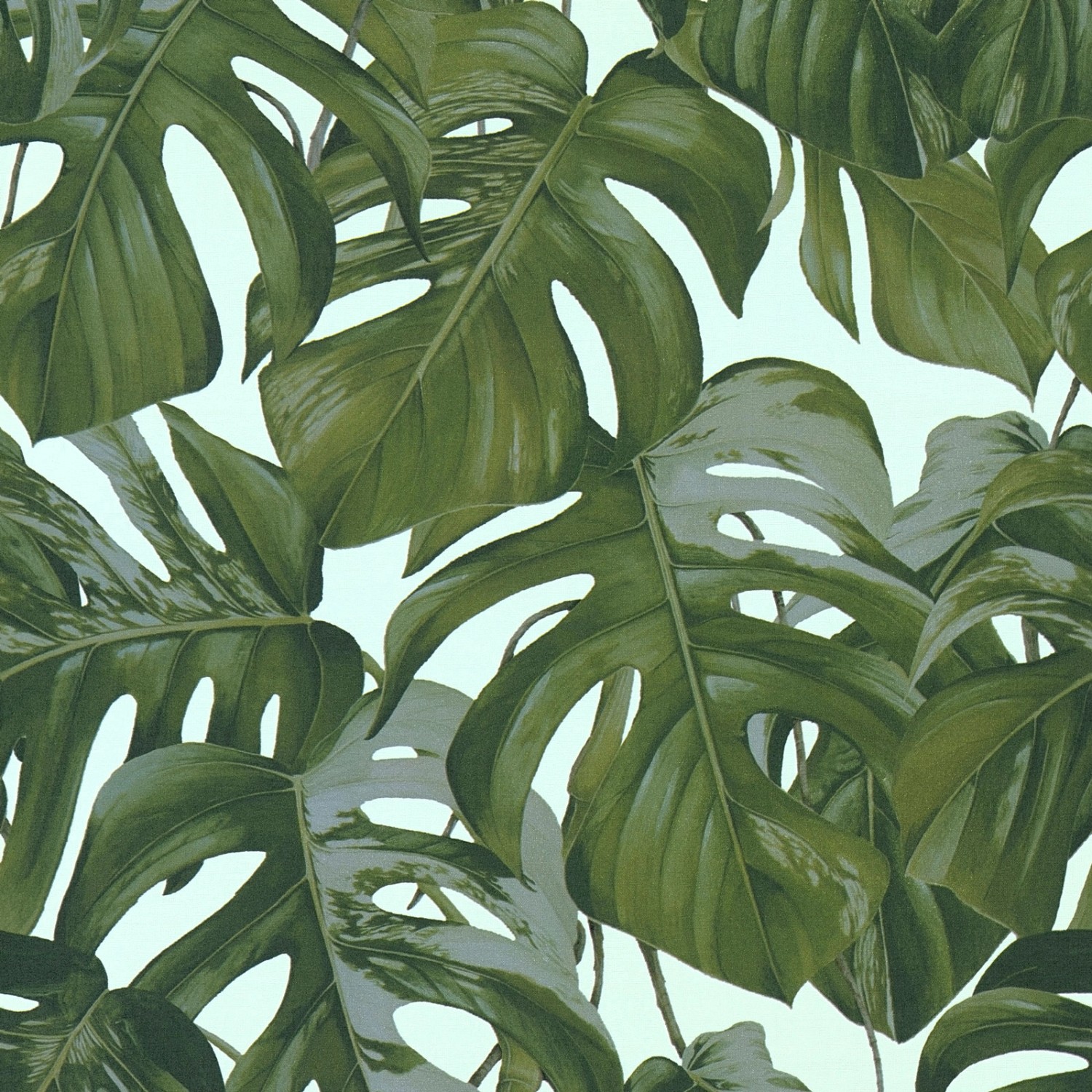 Bricoflor Monstera Tapete Weiß Grün Vlies Palmentapete im Tropical Stil Ide günstig online kaufen
