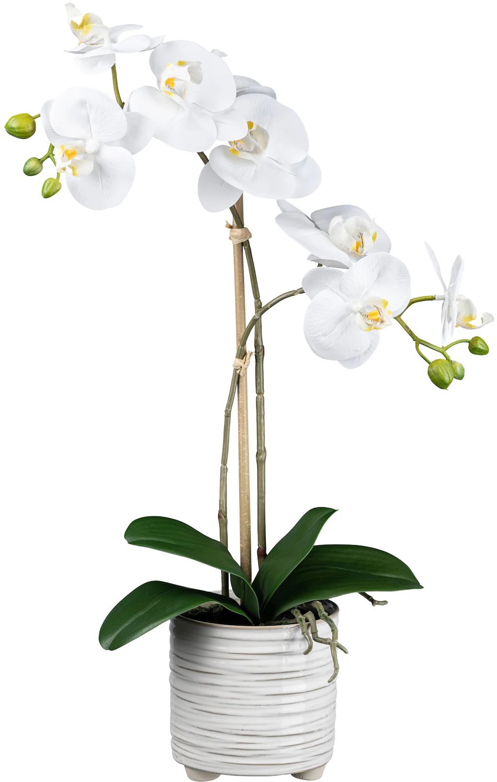 Creativ green Kunstorchidee "Orchidee Phalaenopsis", mit real-touch-Blüten günstig online kaufen