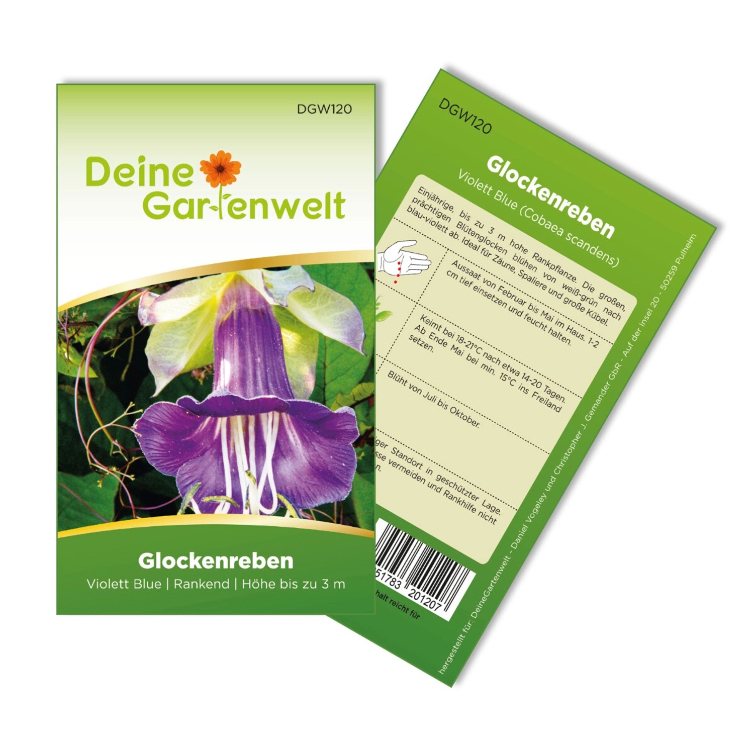 Deine Gartenwelt Glockenrebe Violett Blue Samen günstig online kaufen