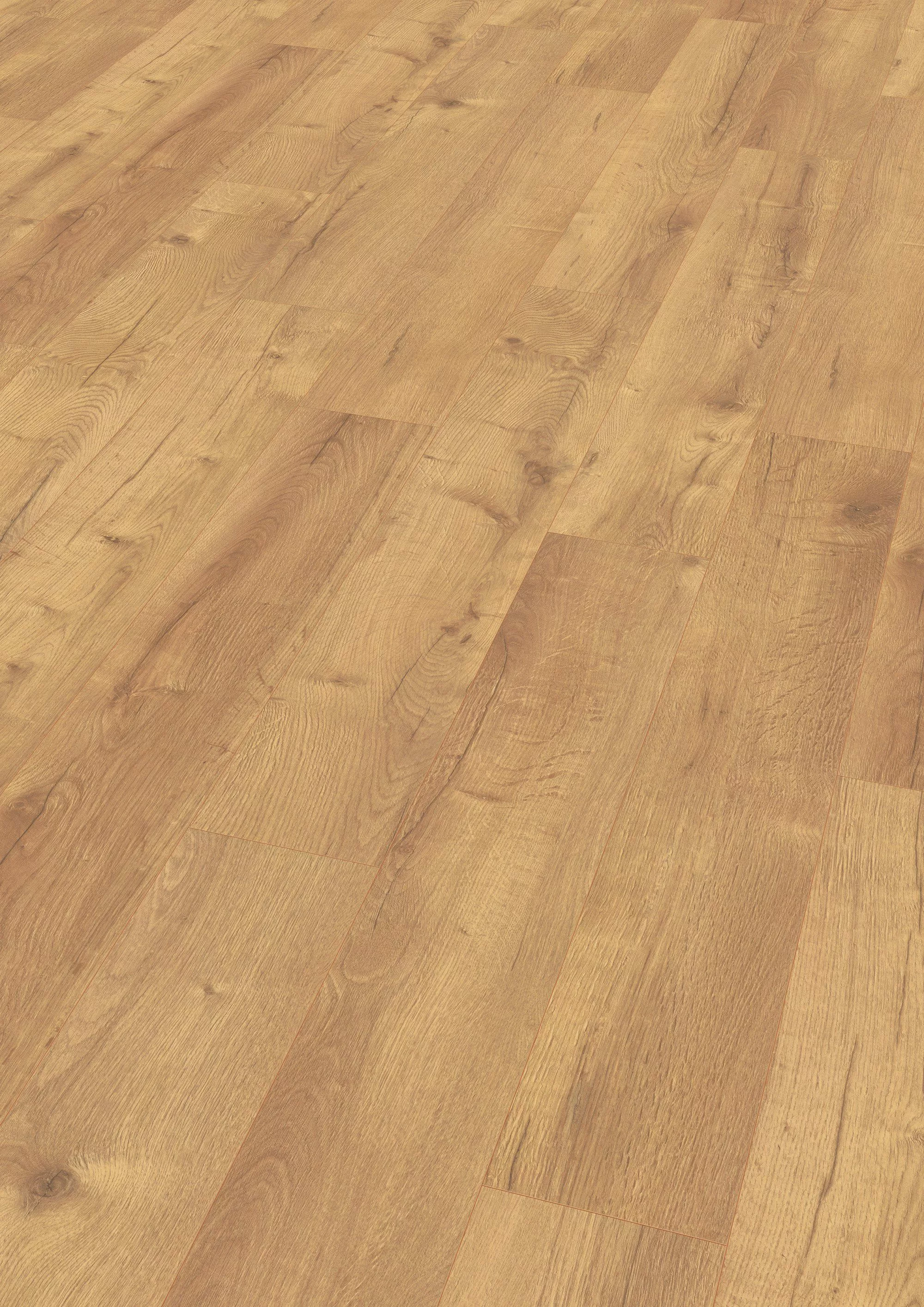 Egger Classic Laminat 7 mm Eiche Dunino Natur günstig online kaufen