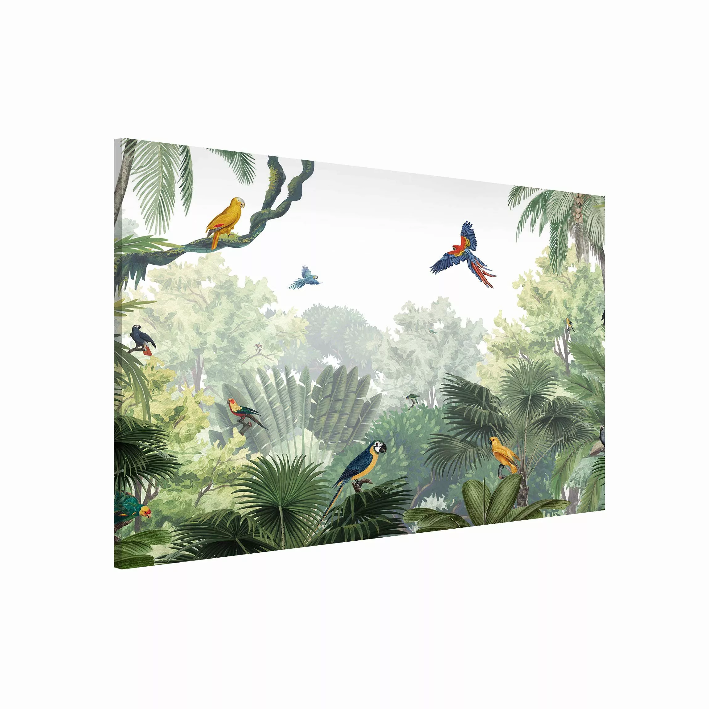 Magnettafel Papageienparade im sanften Dschungel günstig online kaufen