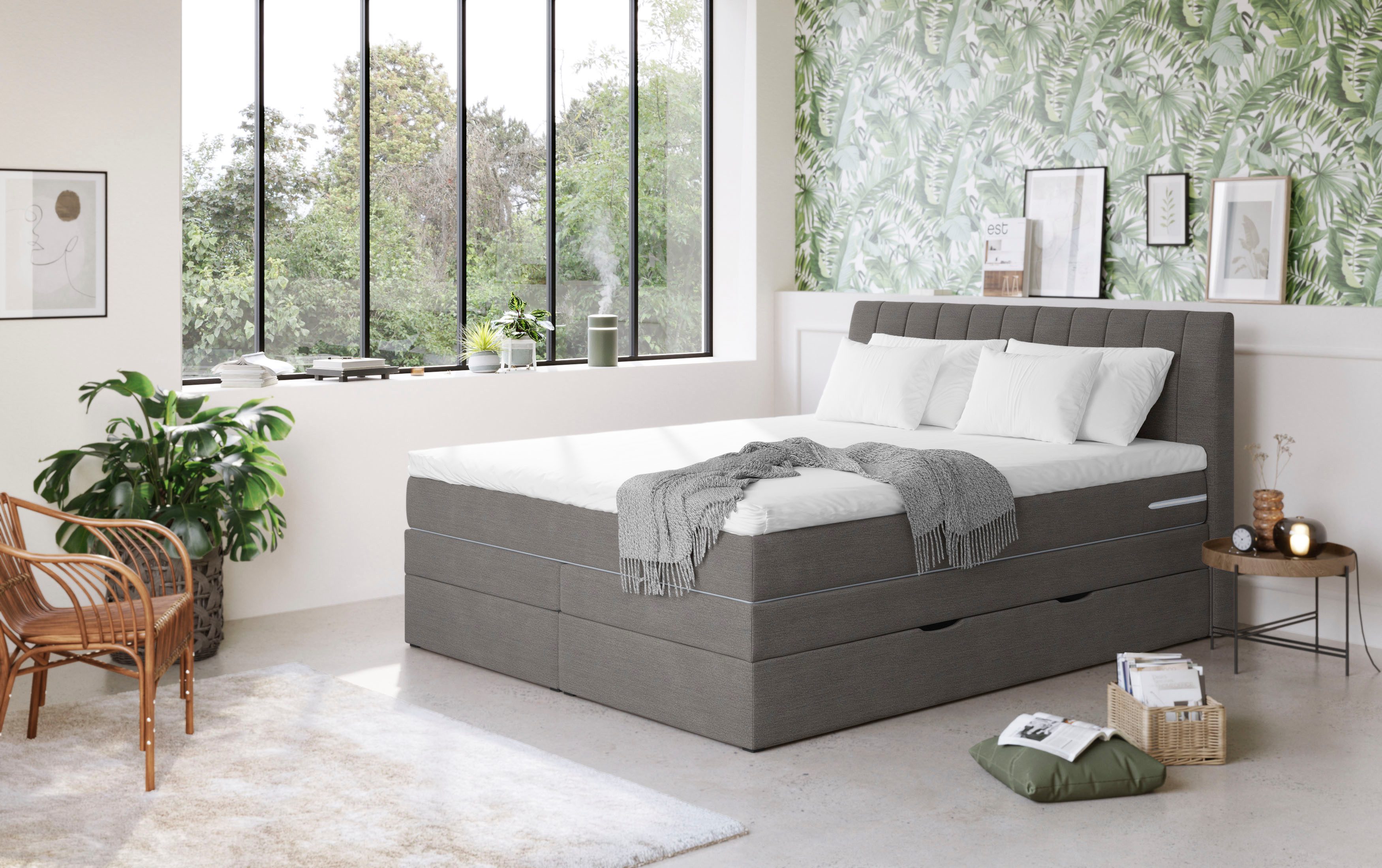 COTTA Boxspringbett "Shark inkl. Bettkasten und Topper", erhältlich in den günstig online kaufen