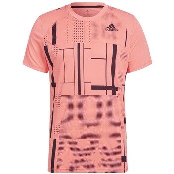 adidas  T-Shirt Graphic Tee günstig online kaufen