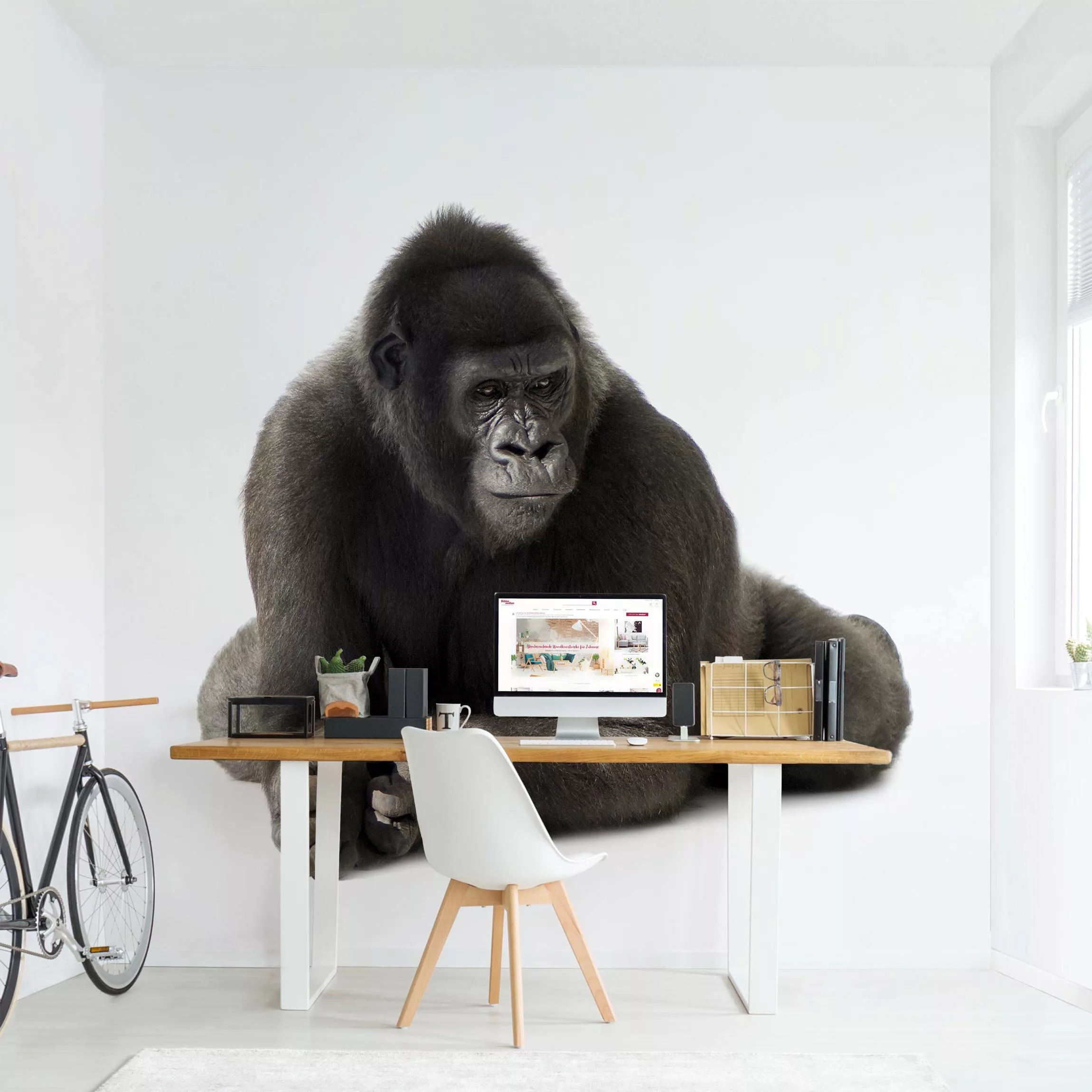 Fototapete Gorilla I günstig online kaufen