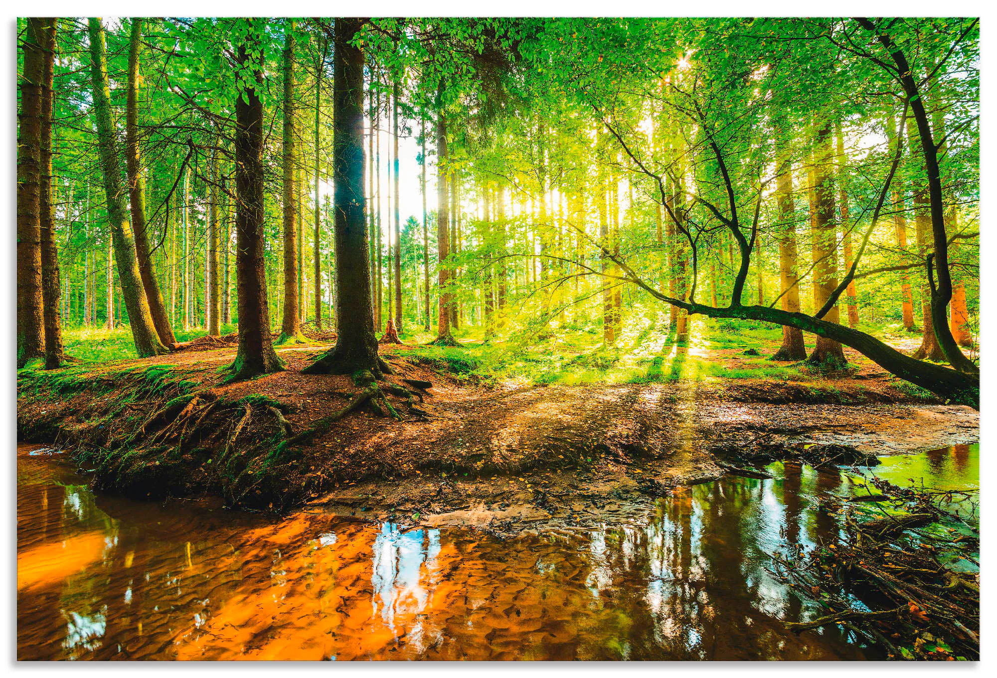 Artland Wandbild "Wald mit Bach", Wald, (1 St.), als Alubild, Outdoorbild, günstig online kaufen